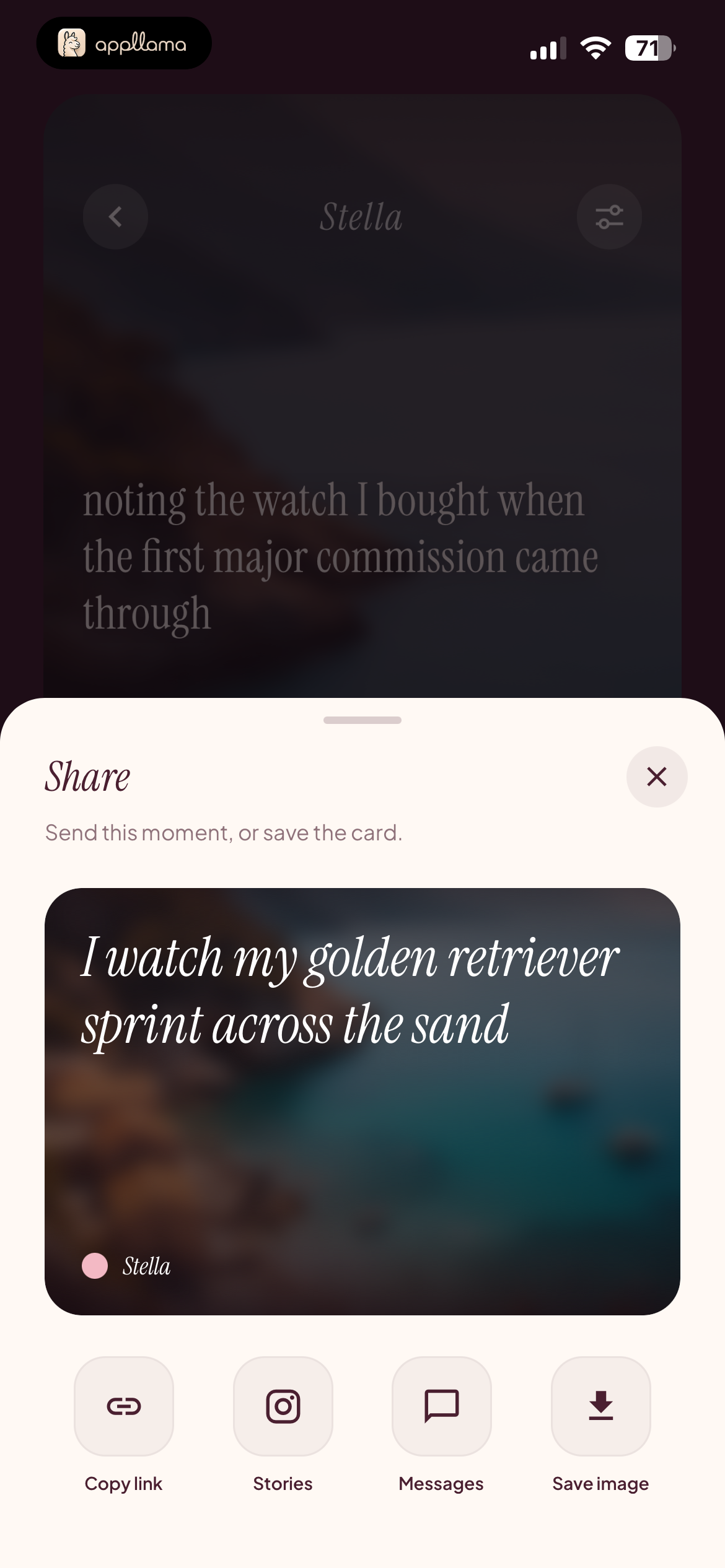 Share Story