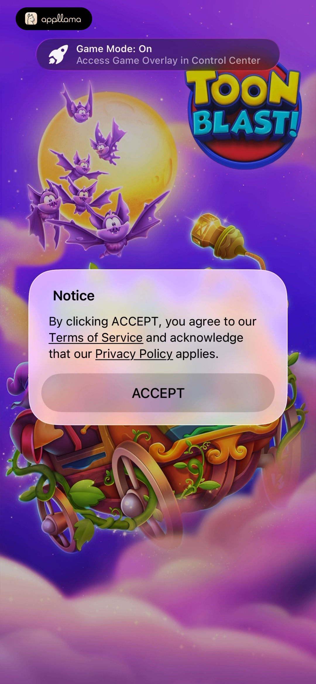 Terms Acceptance