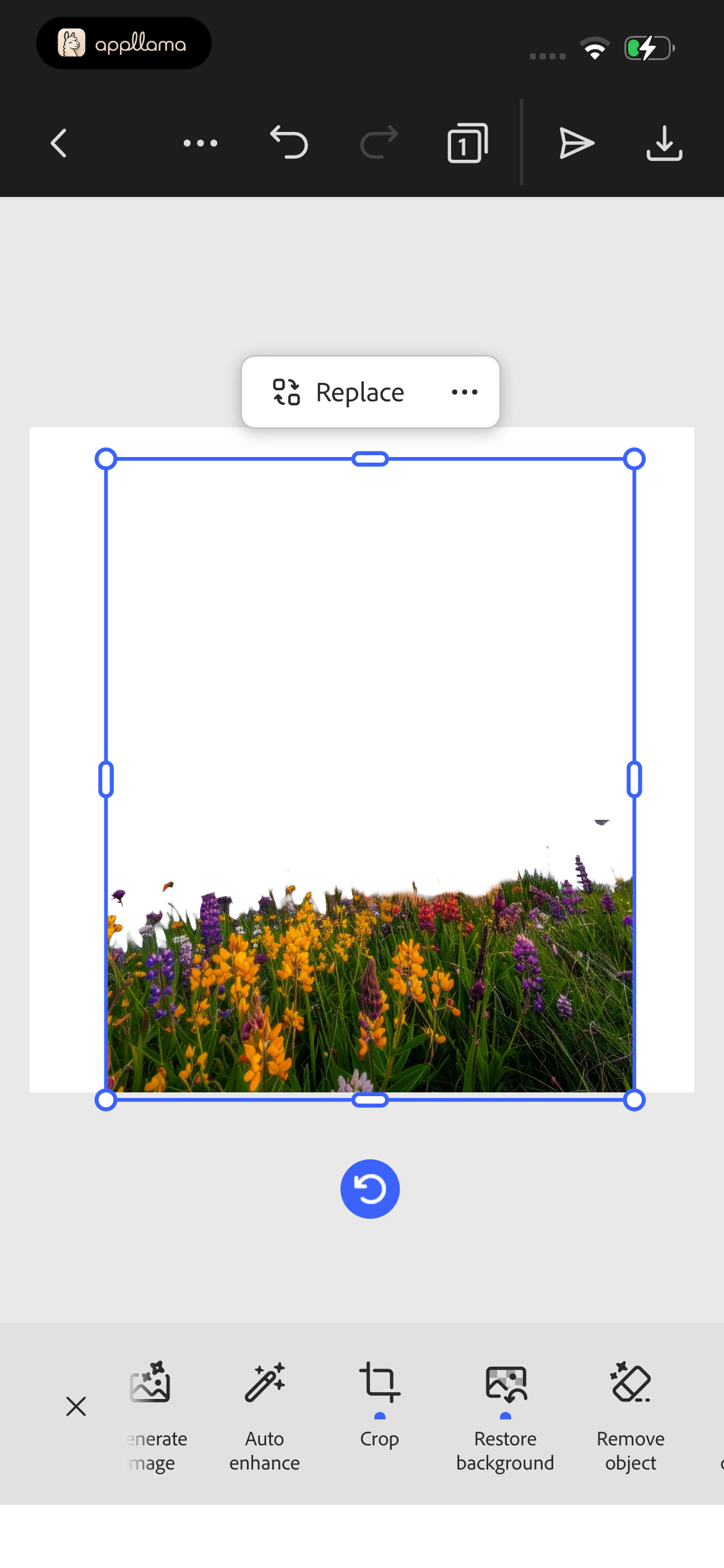 Image Element Editing