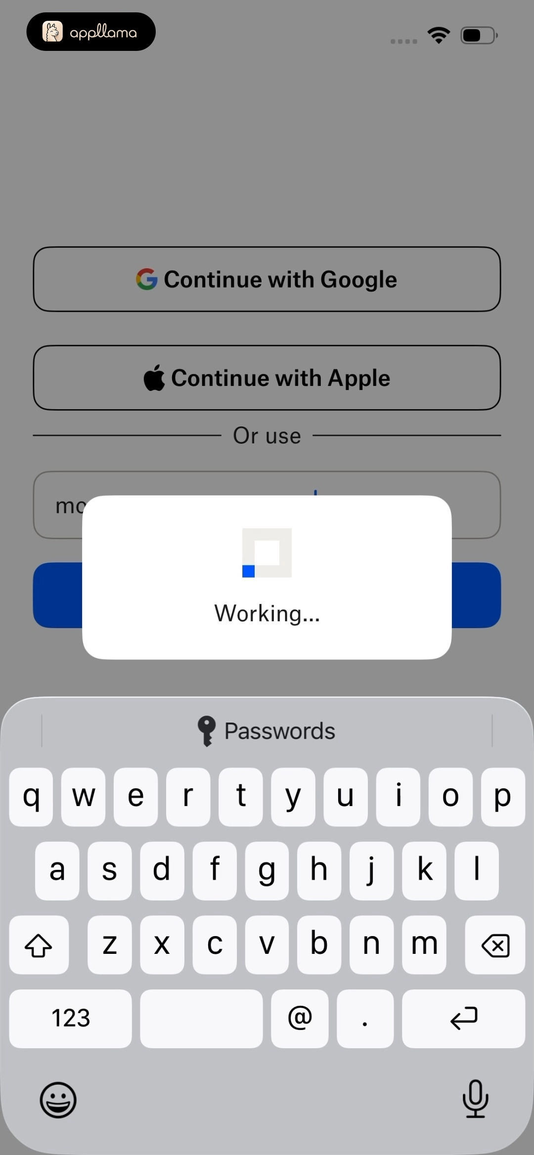 Email Entry Loading