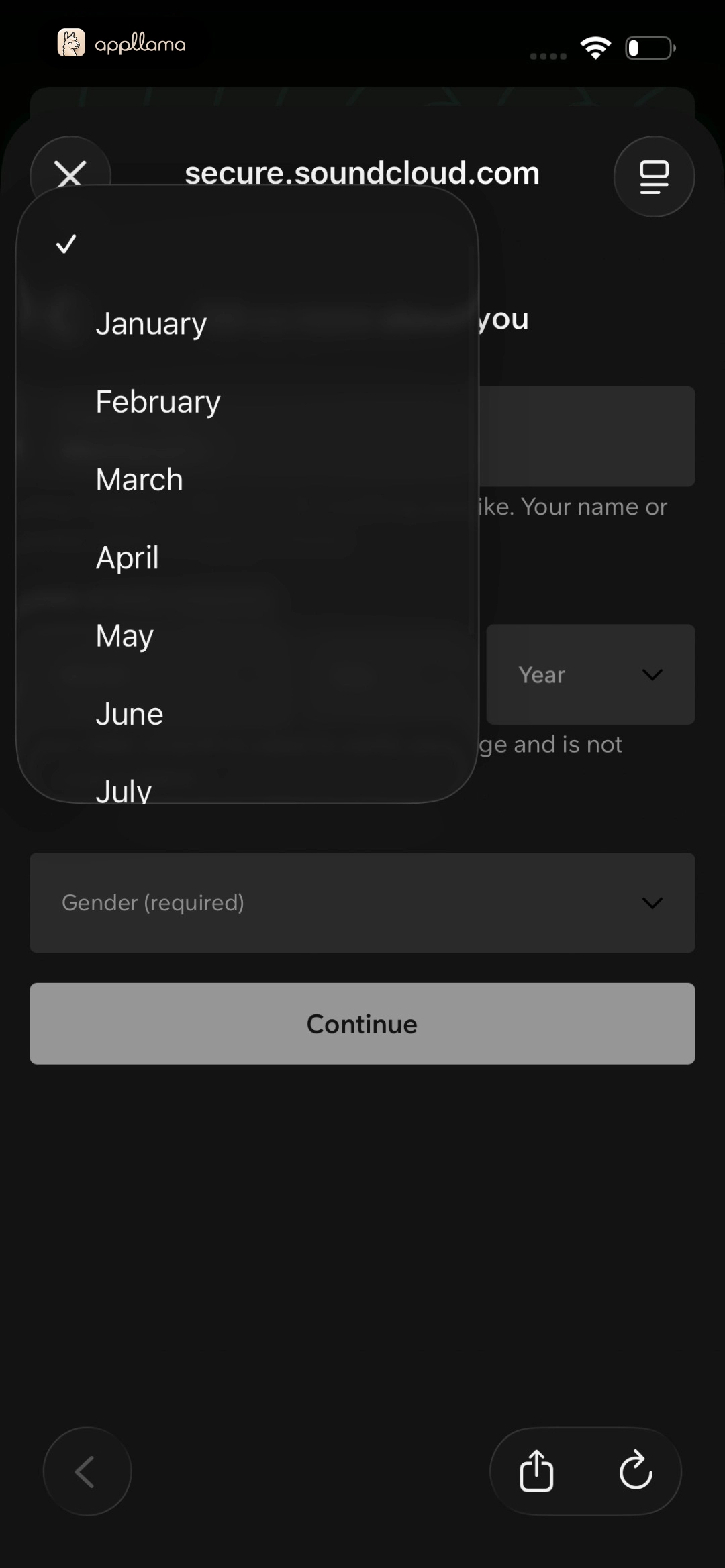 Birth Month Selection