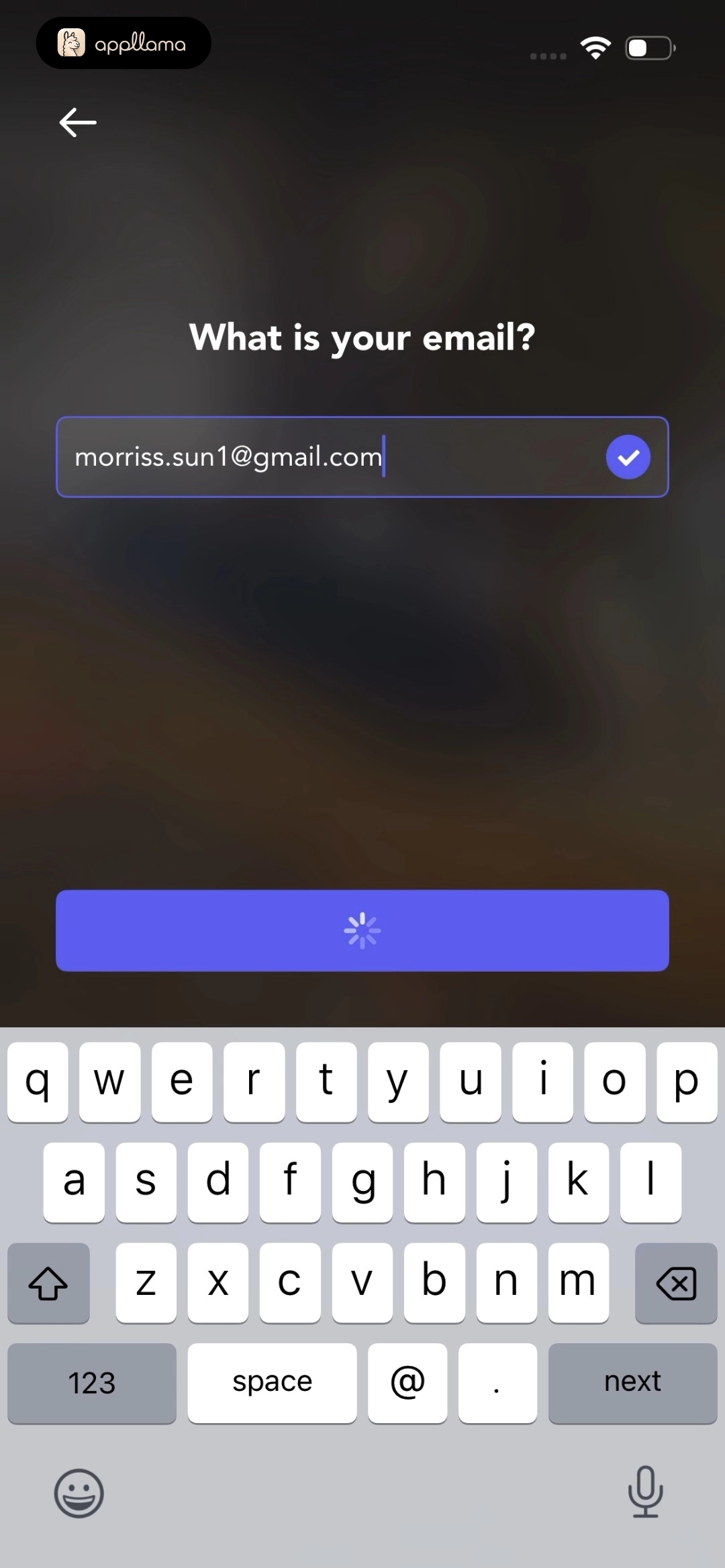 Email Entry Loading