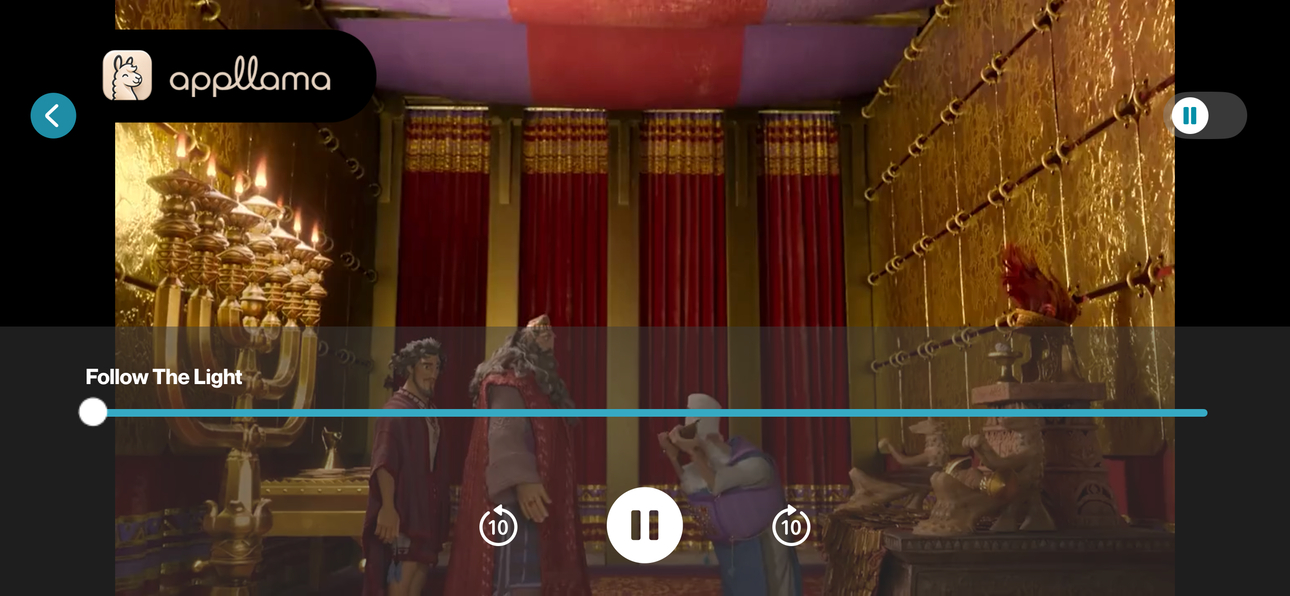 David Video Player