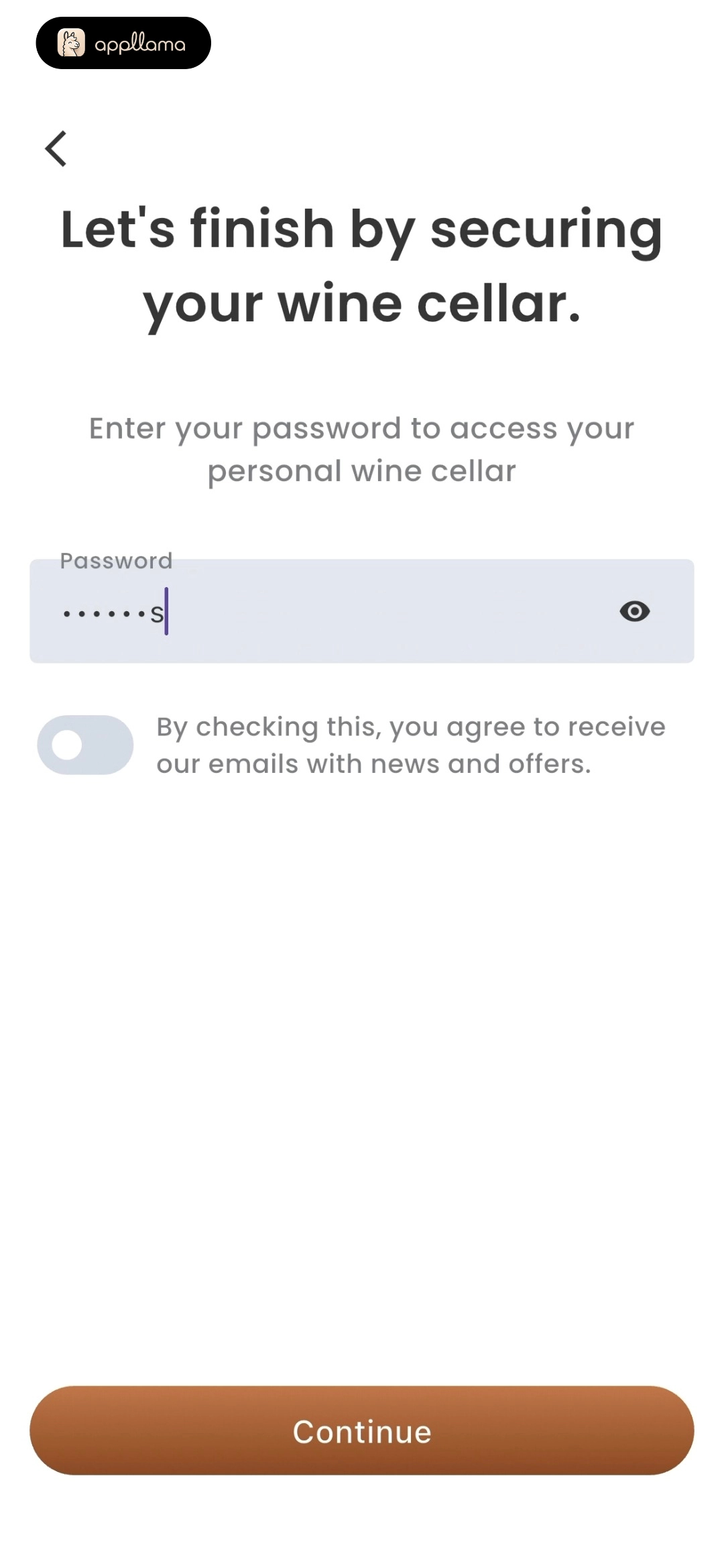 Password Setup