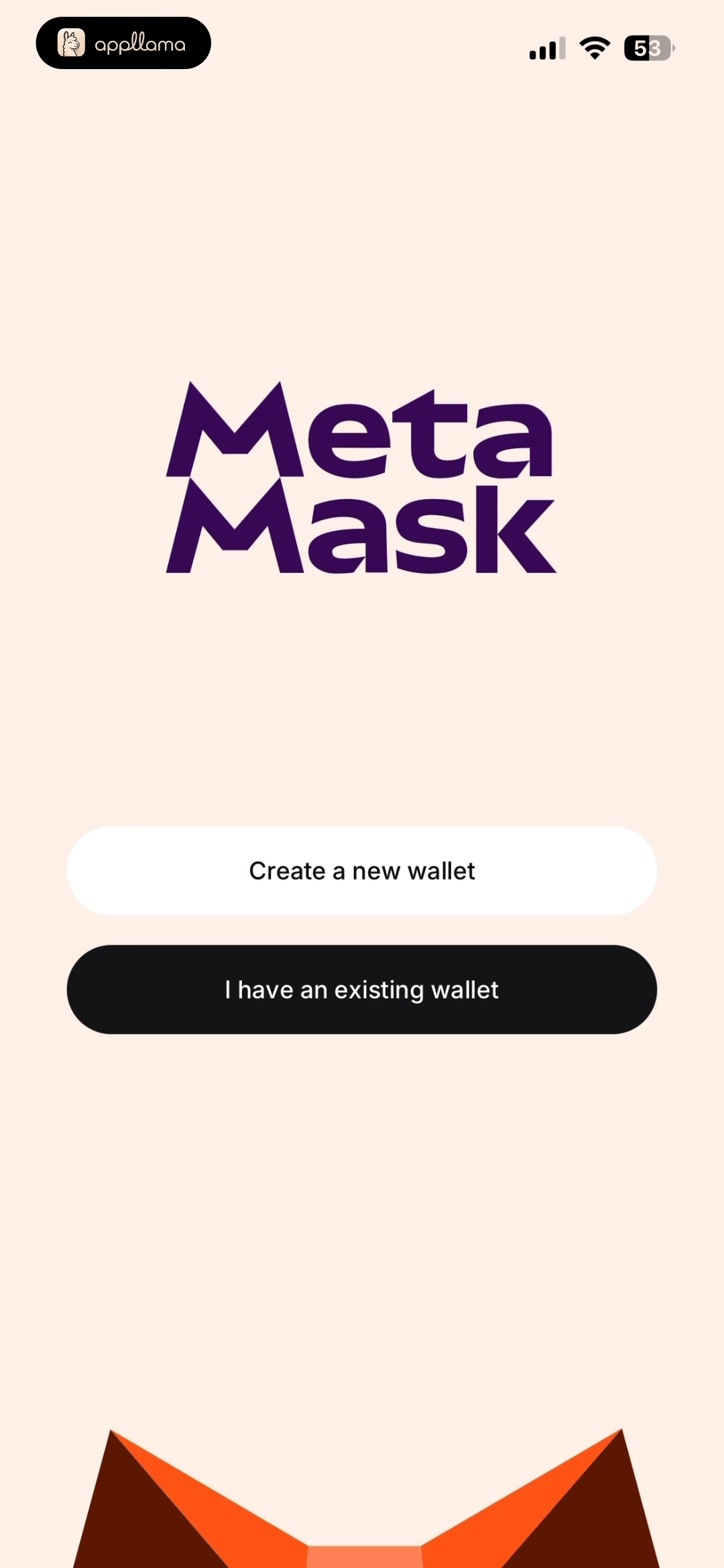 Wallet Setup Intro