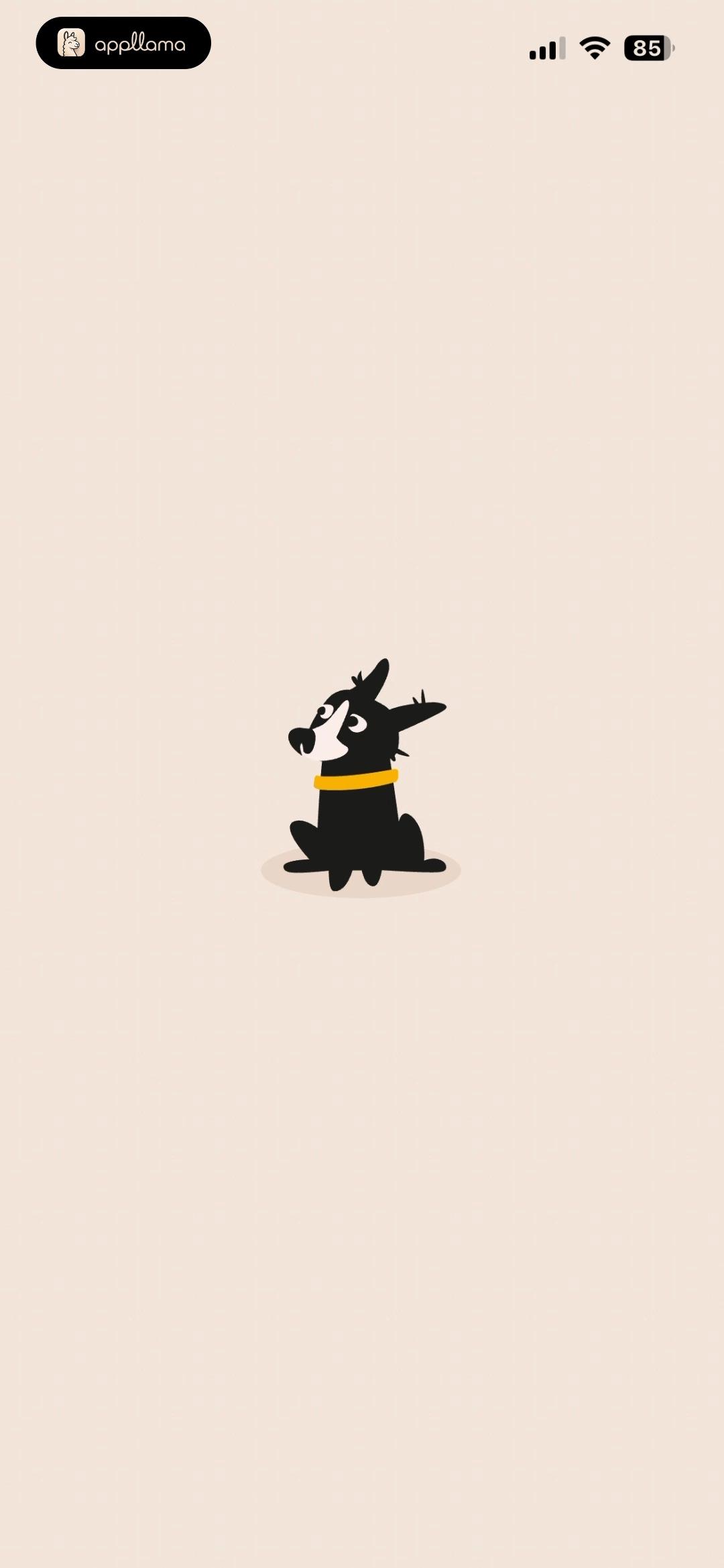 Splash Screen