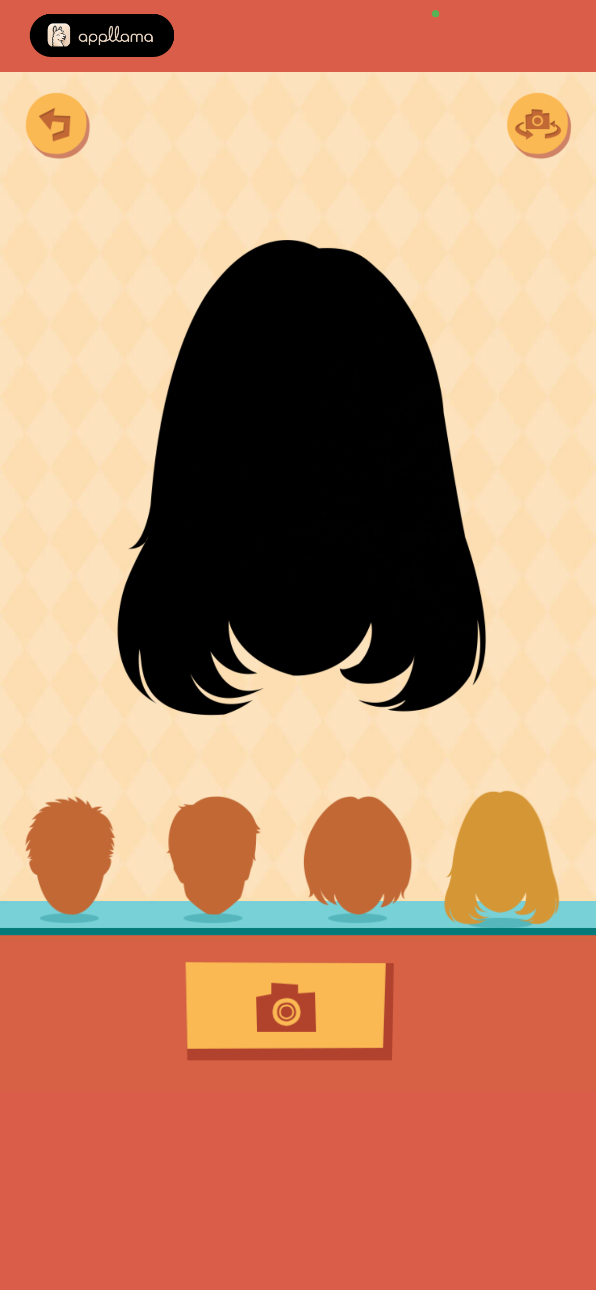 Hair Style Selection