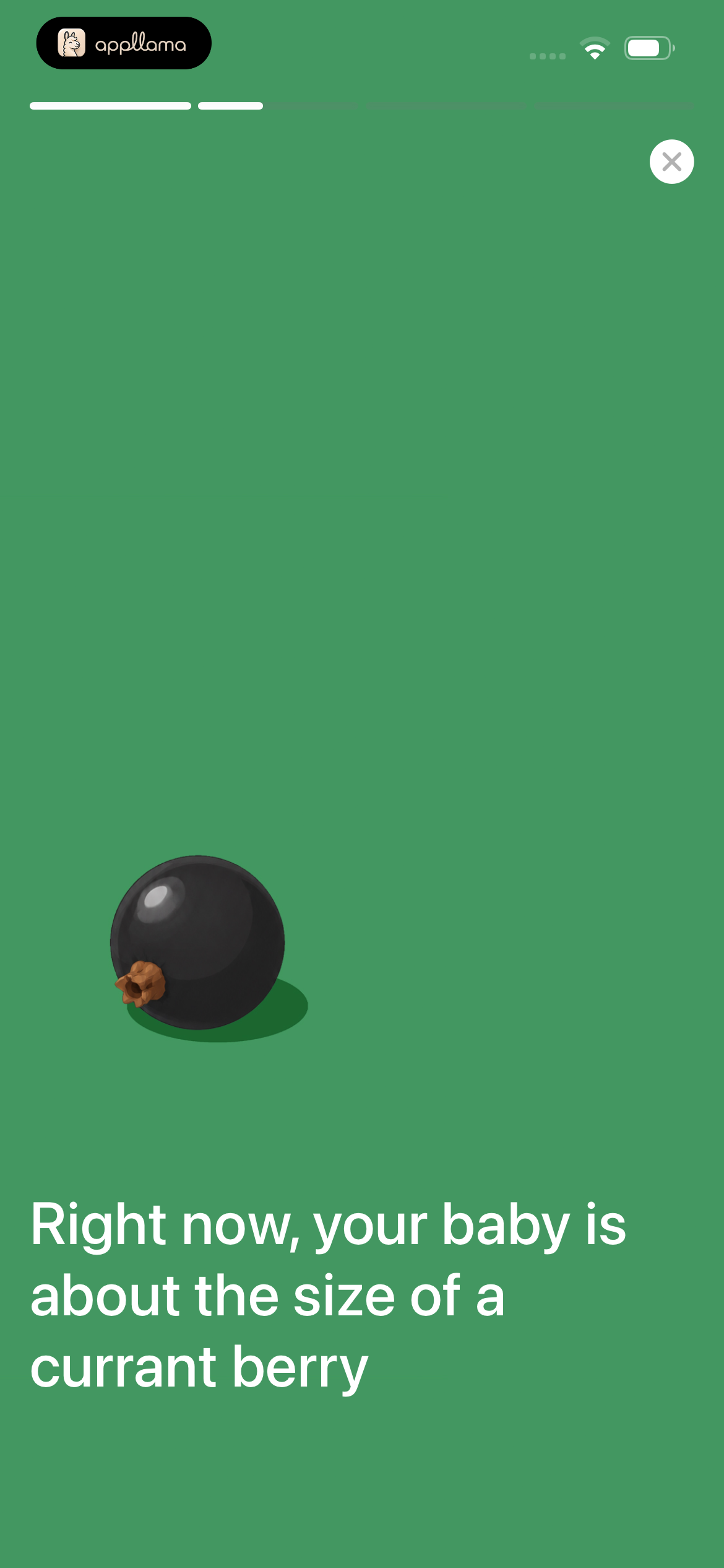 Baby Size Fruit