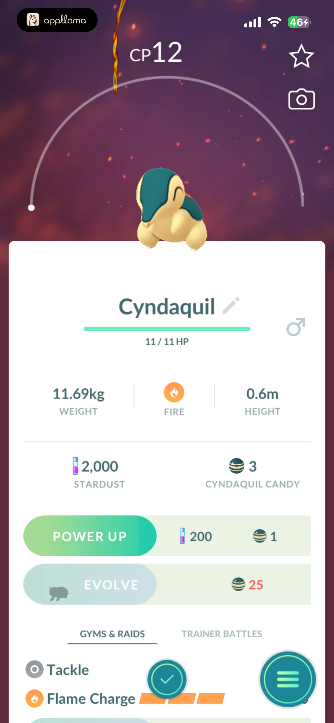 Pokémon Details