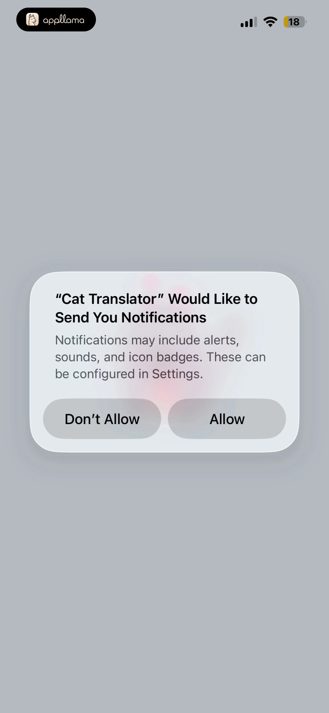 Notification Permission