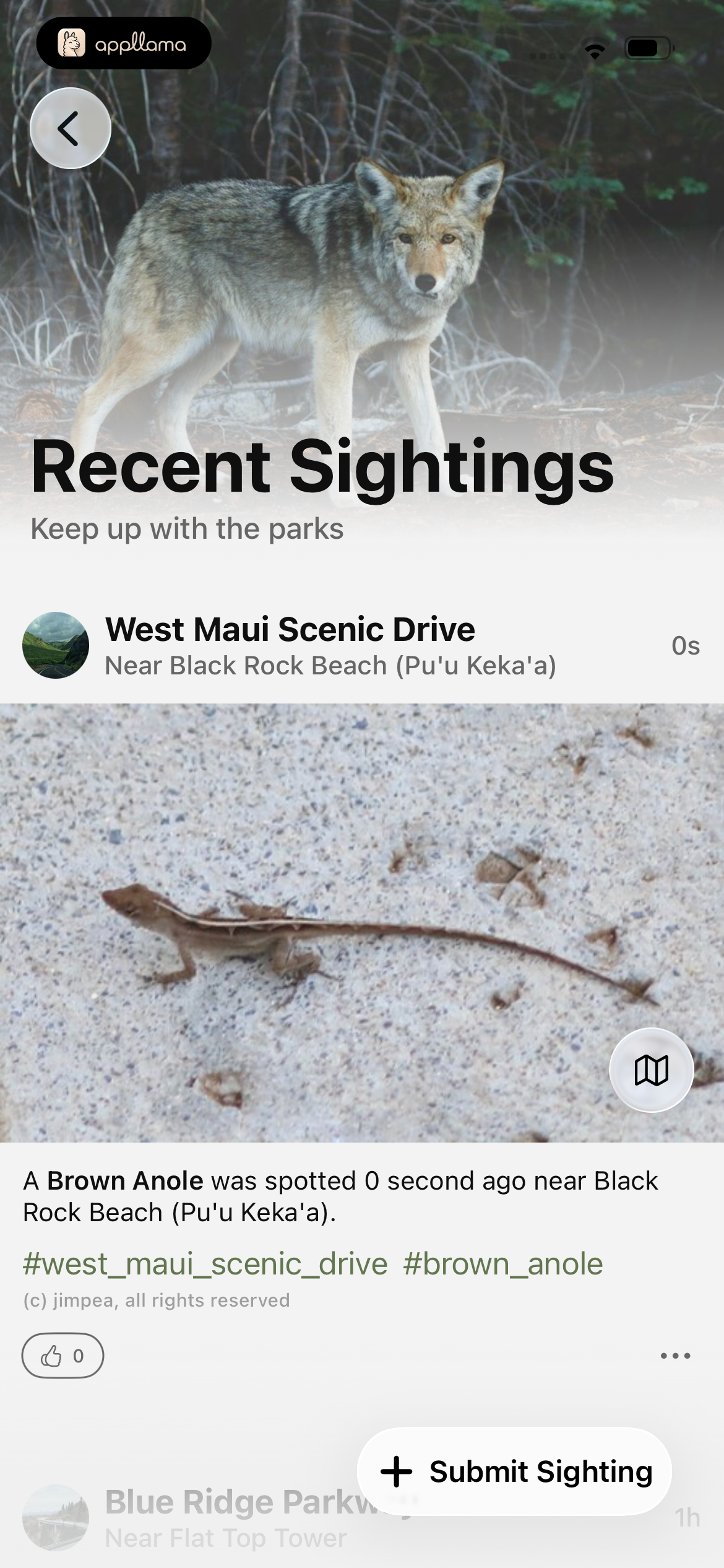Recent Sightings