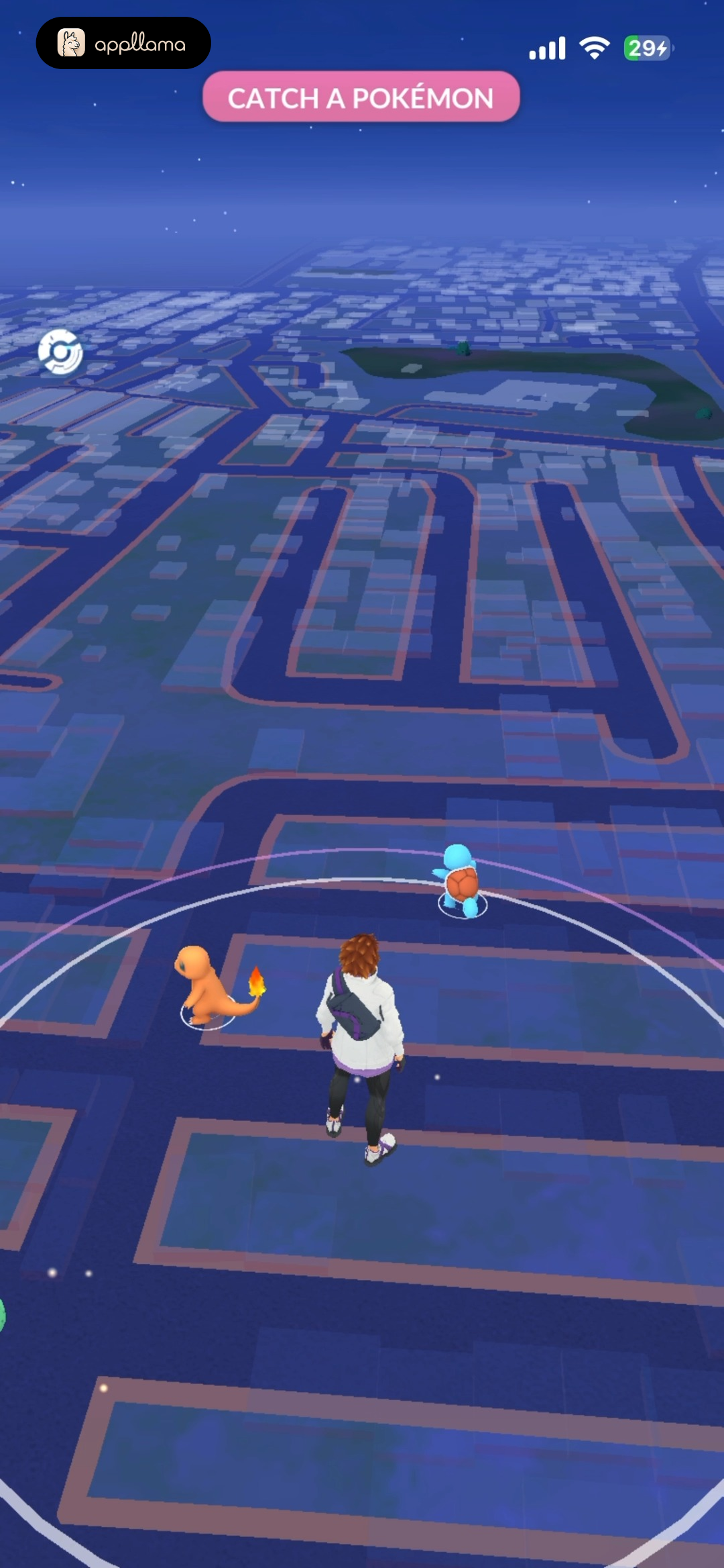 First Pokémon Catch