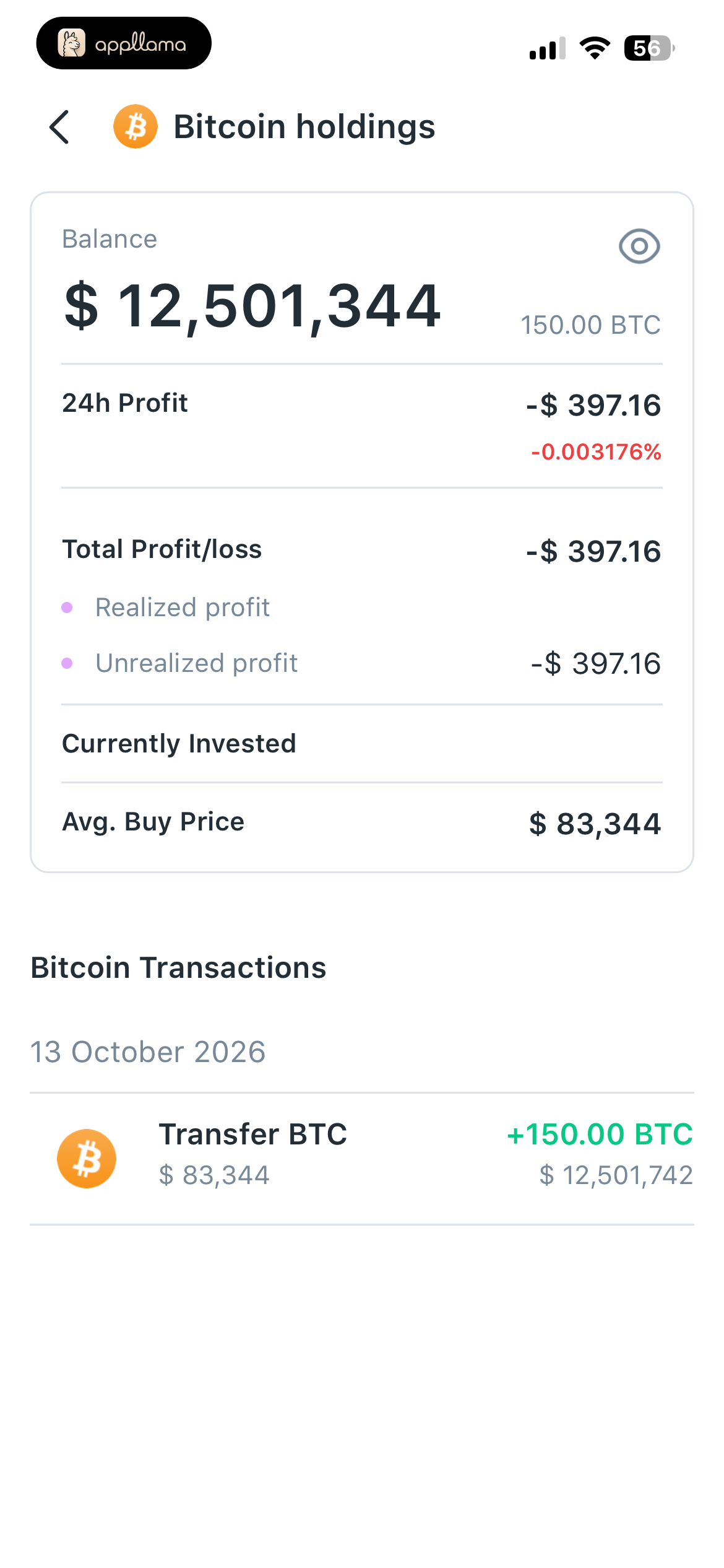 Bitcoin Holdings Detail