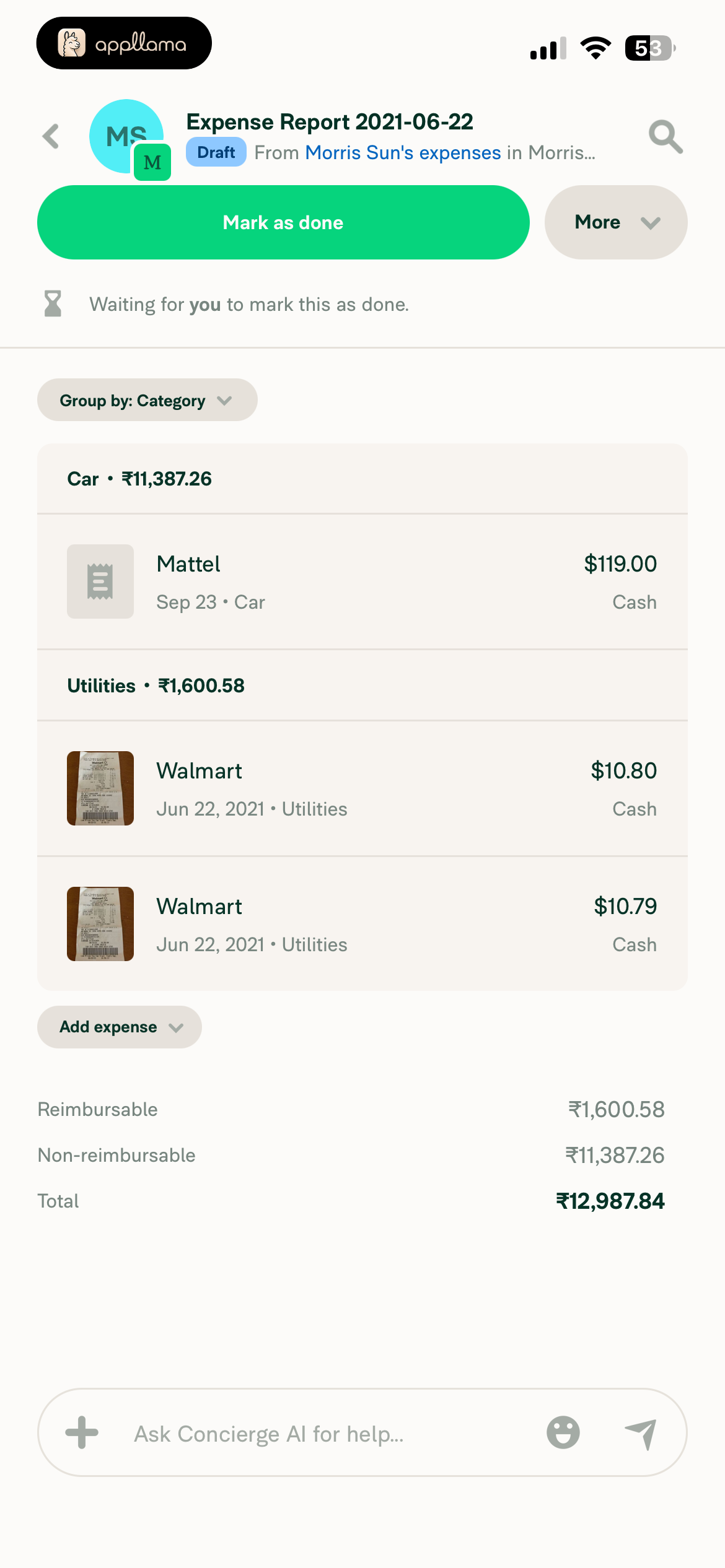 Expense Report