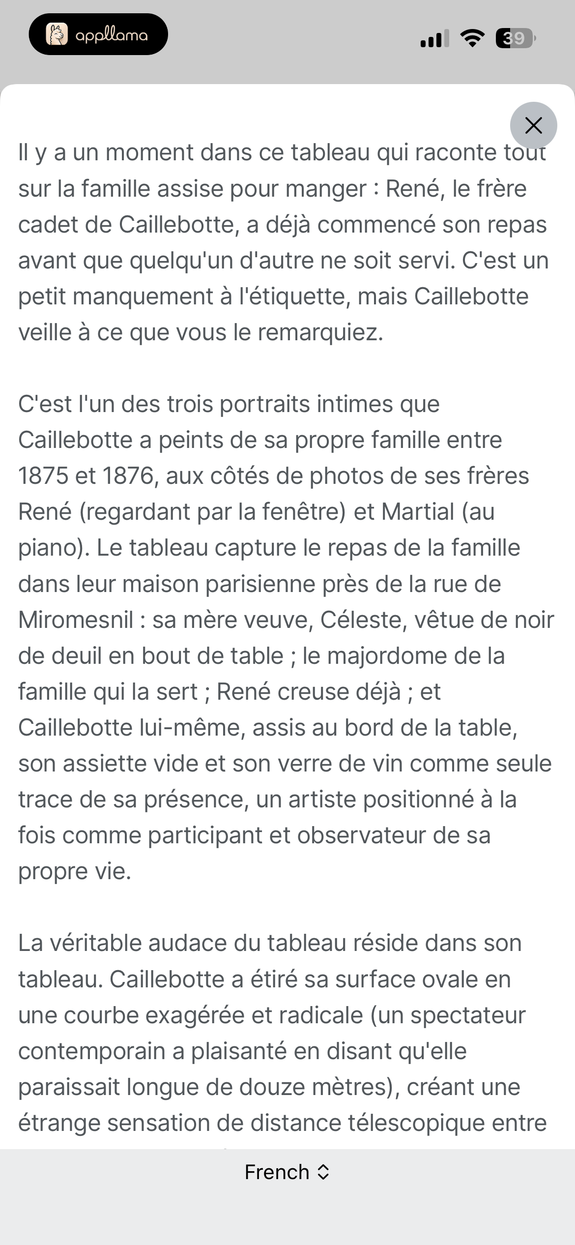 Translated Description