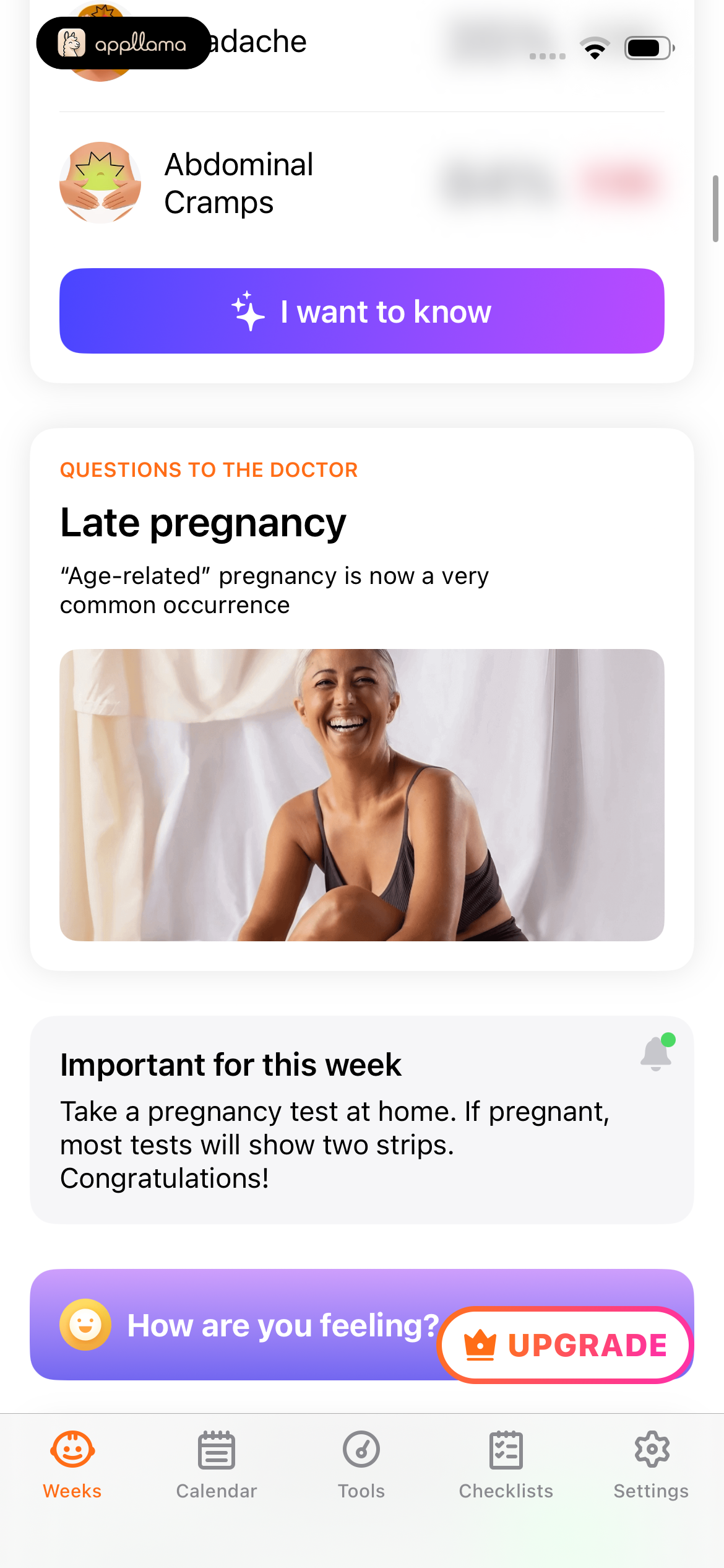 Late Pregnancy Feed