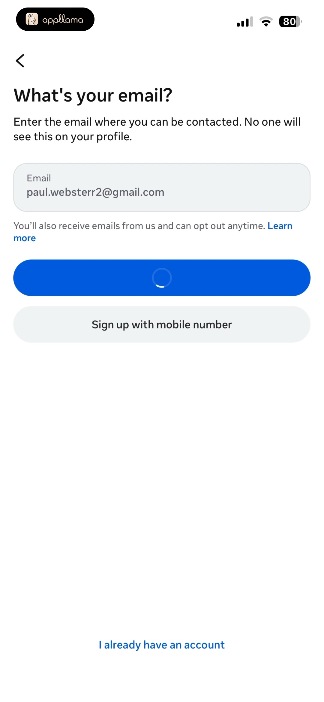 Email Entry - Loading