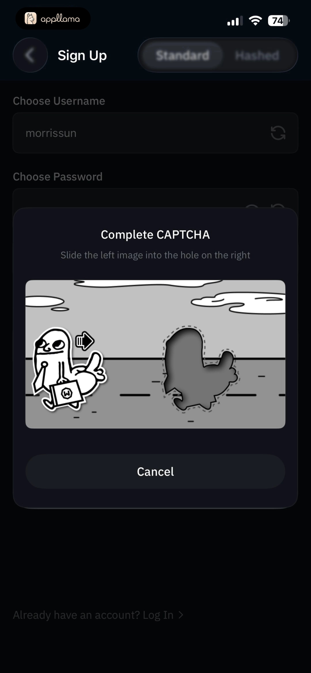 CAPTCHA Verification