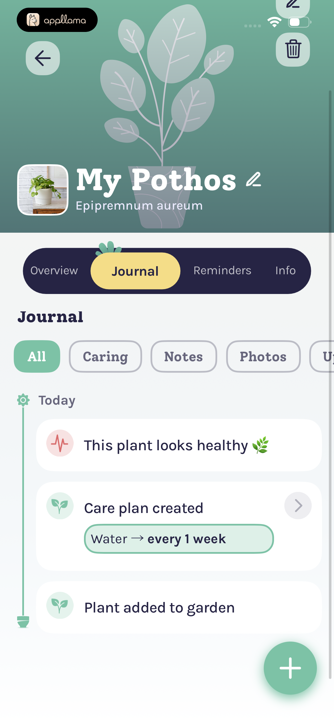 Plant Journal