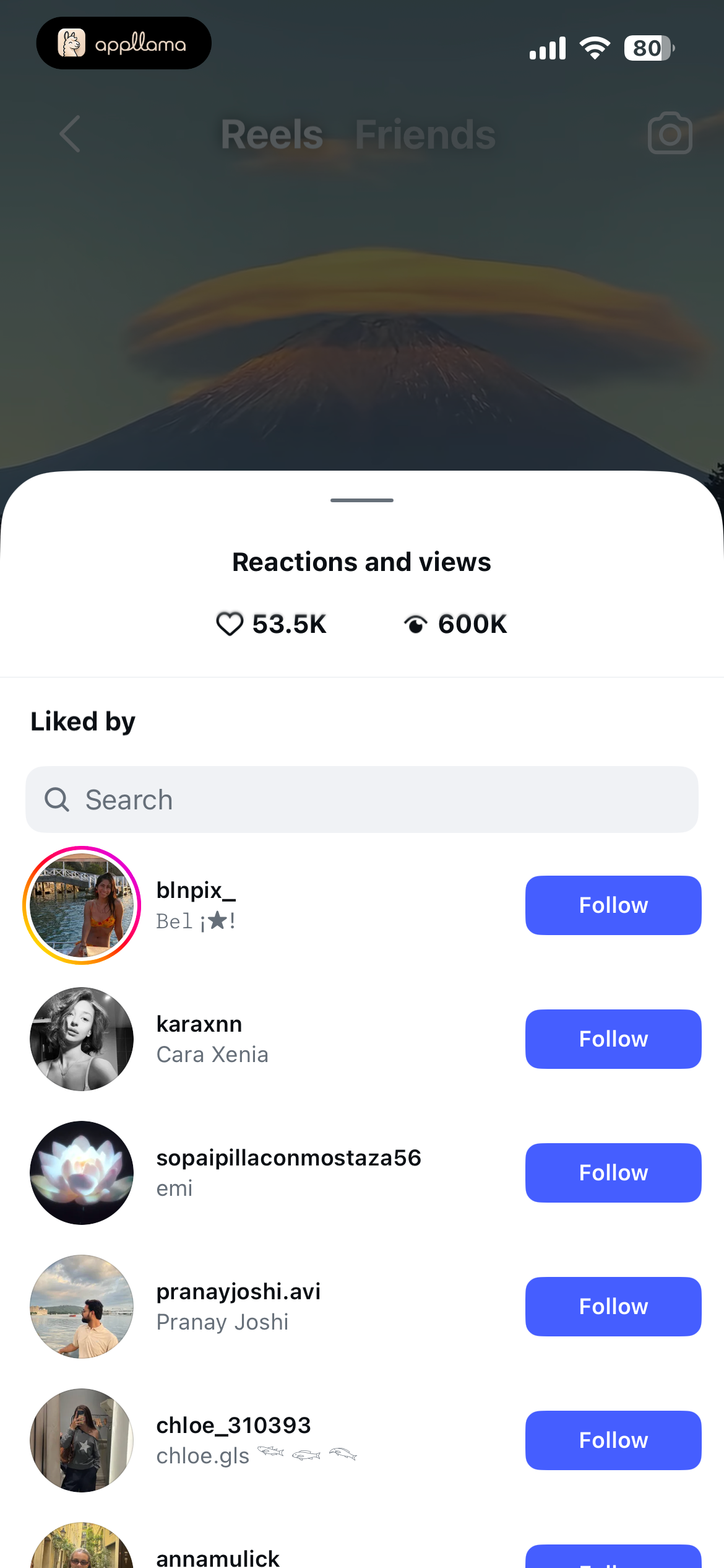Reel Likes and Views