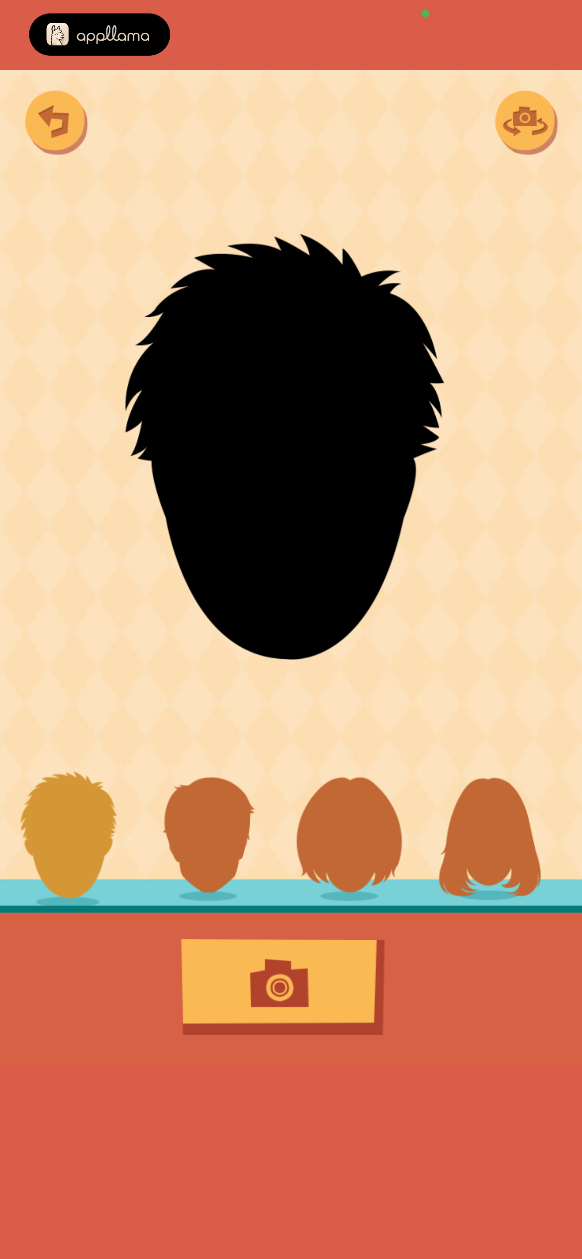 Hair Style Selection