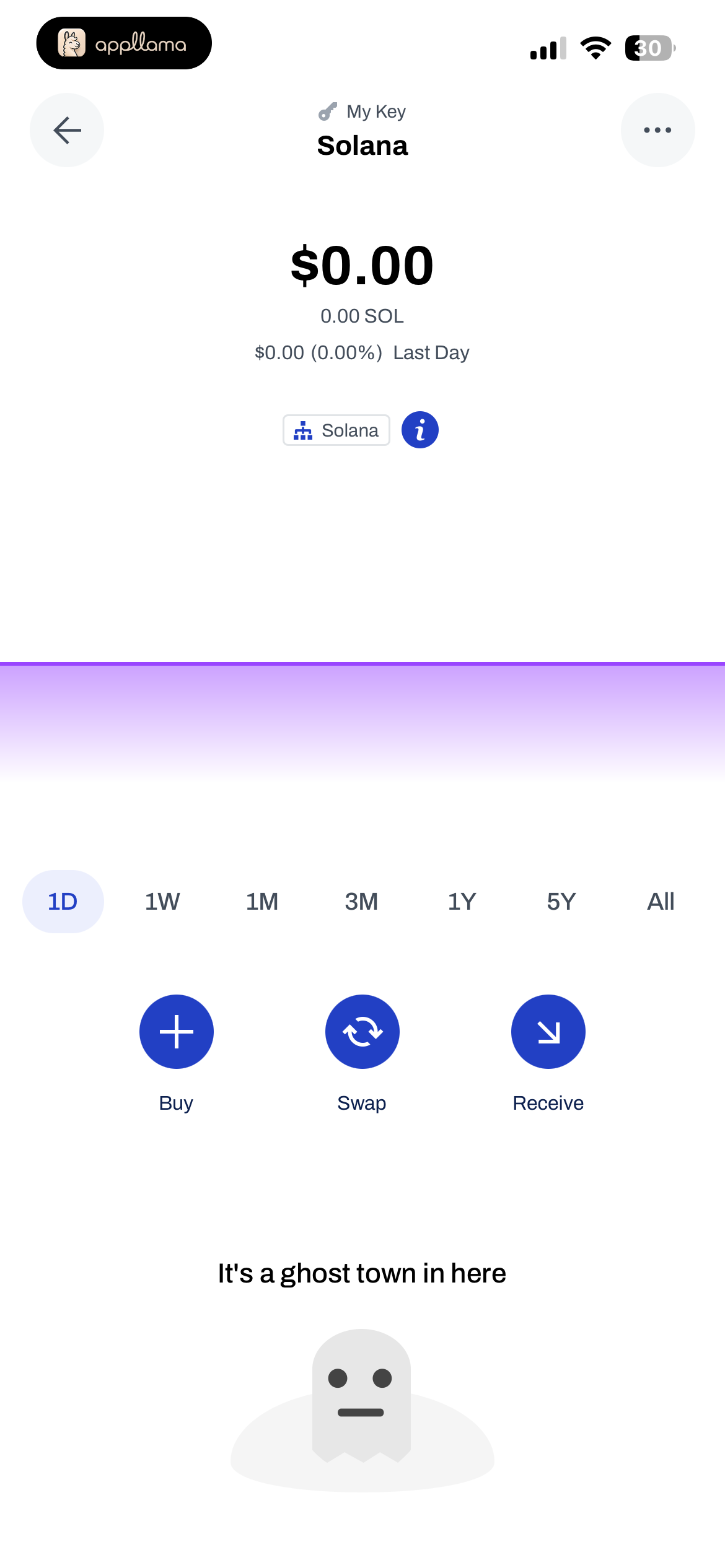 Wallet Balance Details