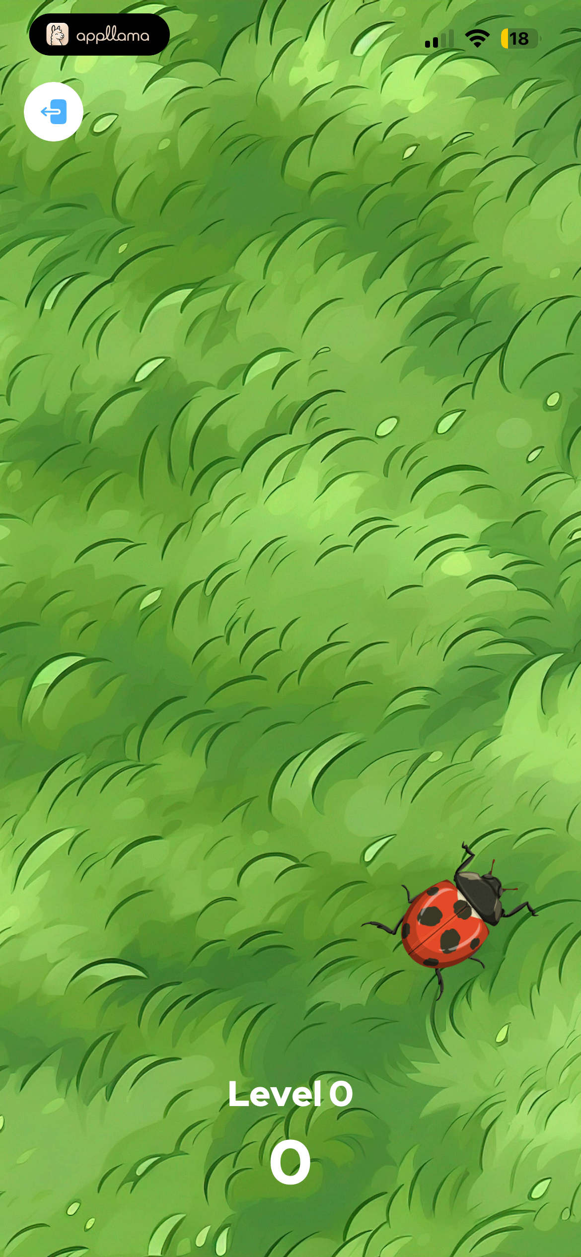 Ladybug Game