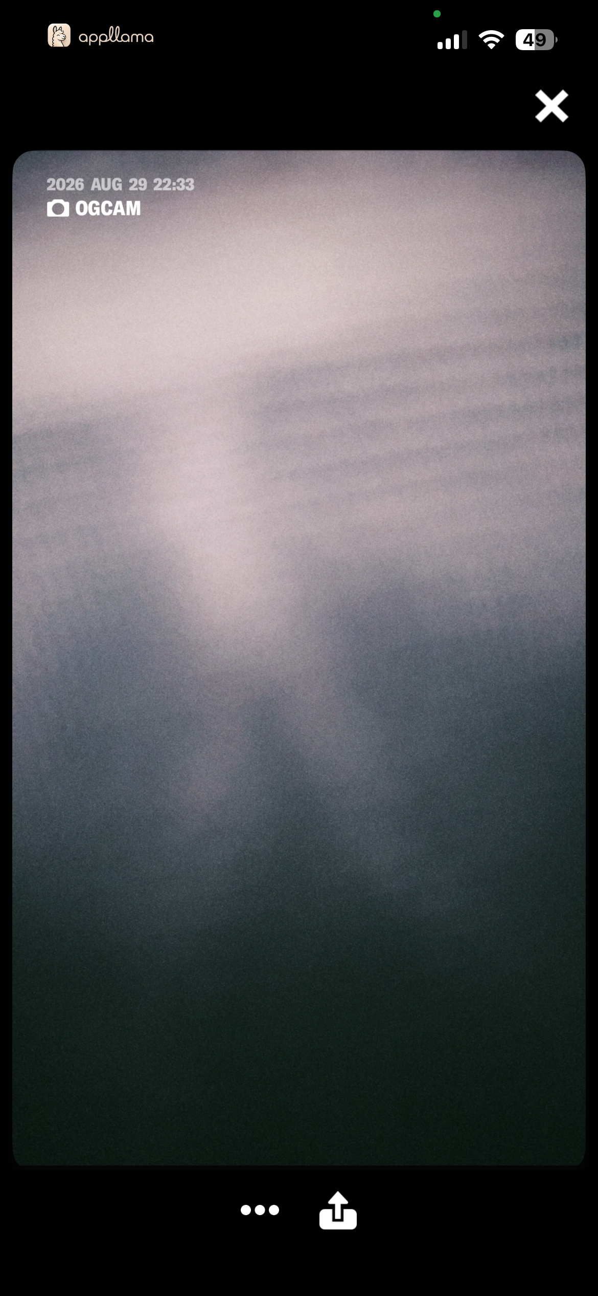 Developed Photo