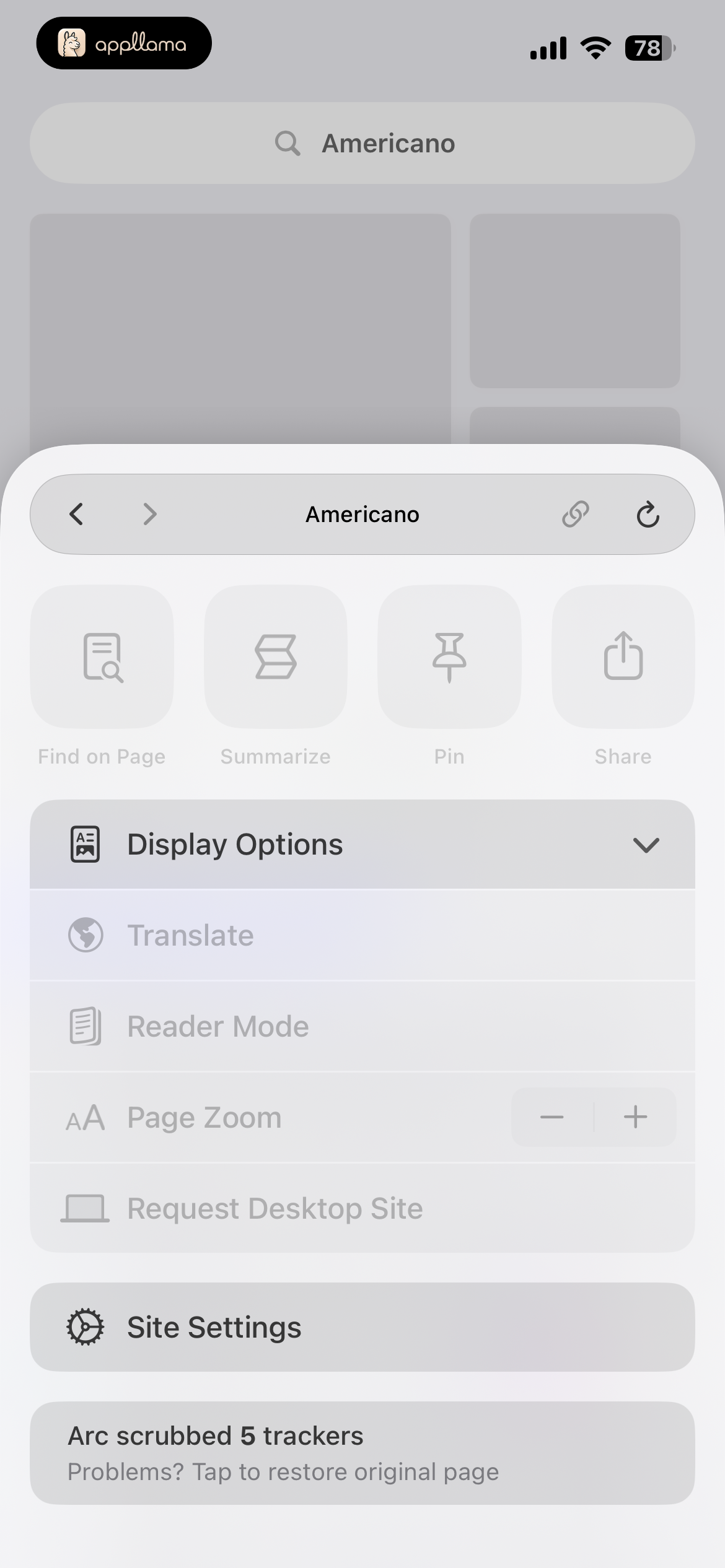 Display Options