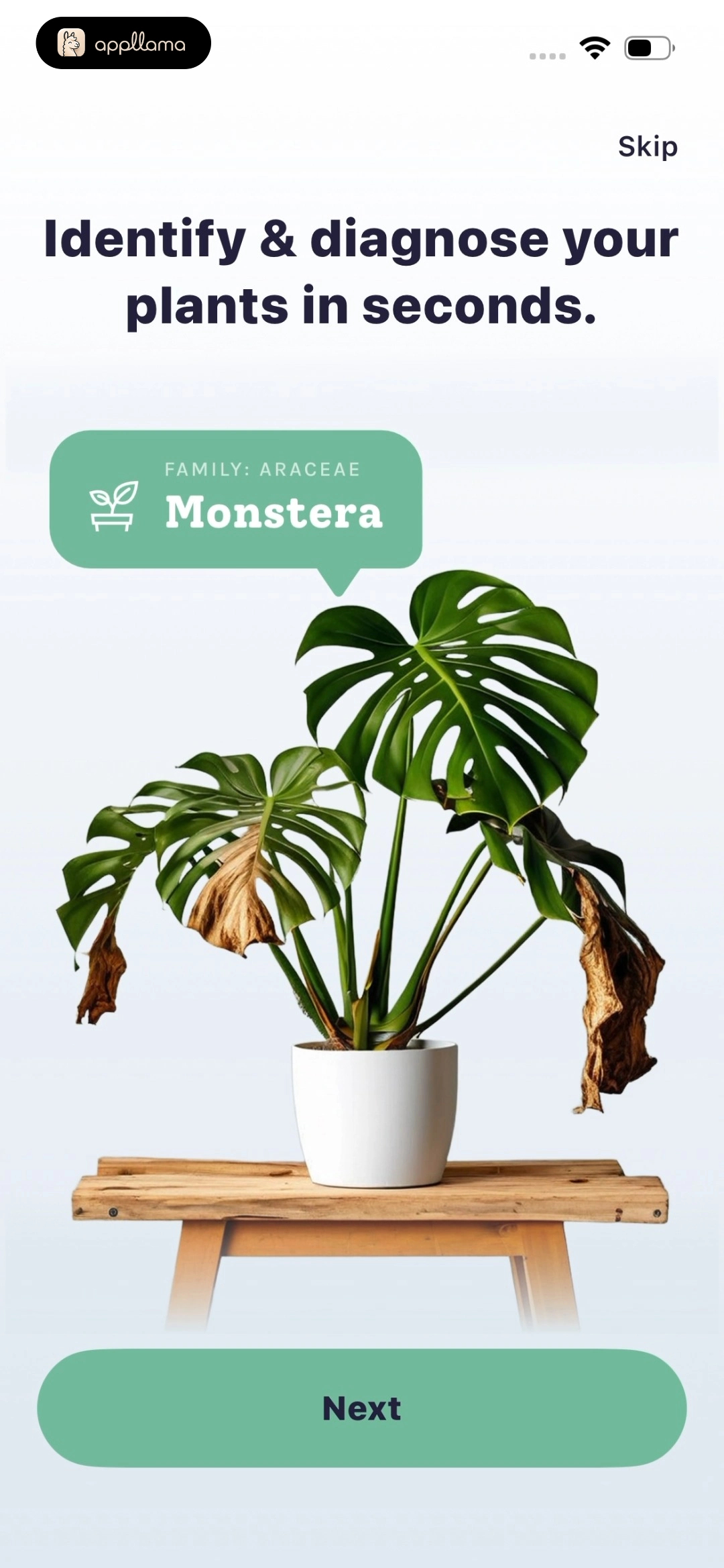 Plant Identification Demo