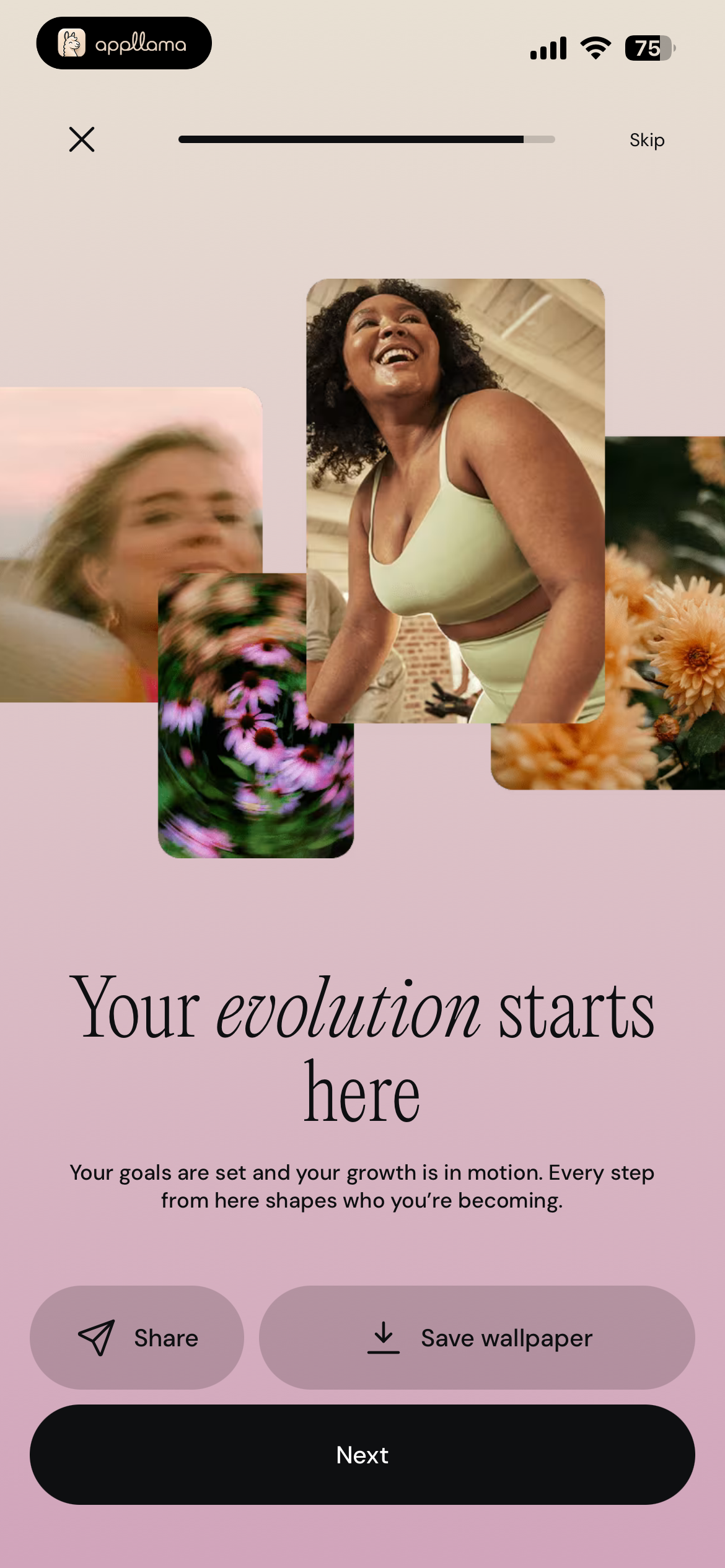 Evolution Summary
