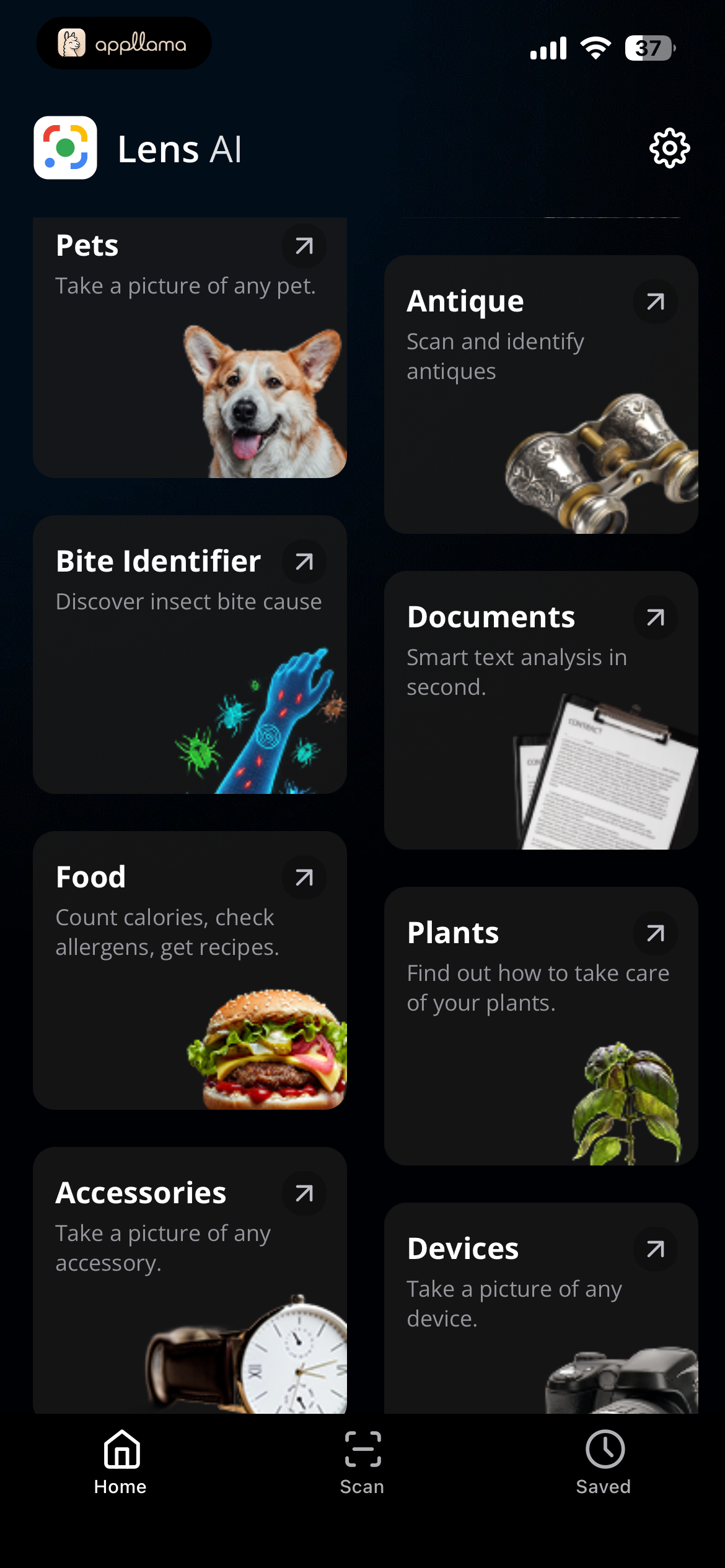 Home Categories