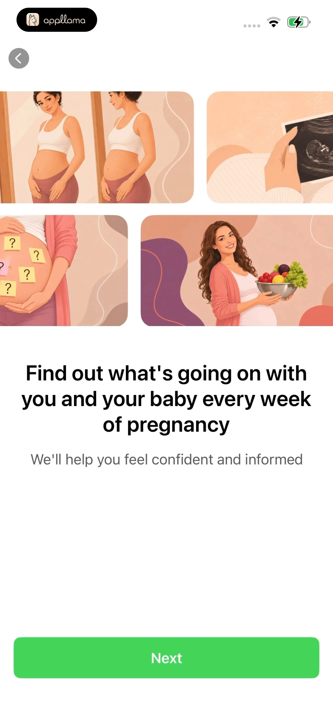 Weekly Pregnancy Intro