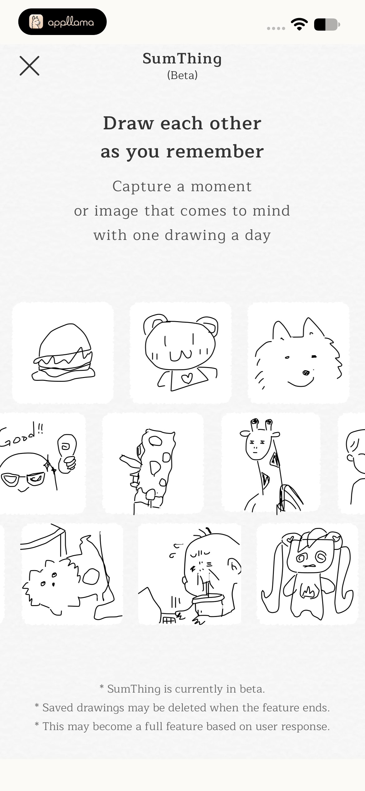Drawing Instructions