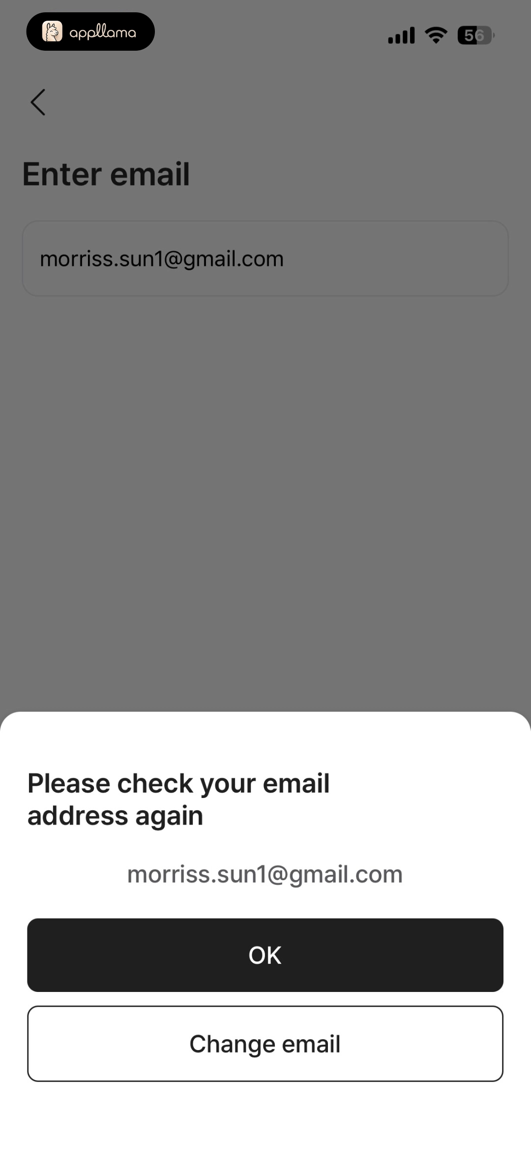 Email Verification Prompt