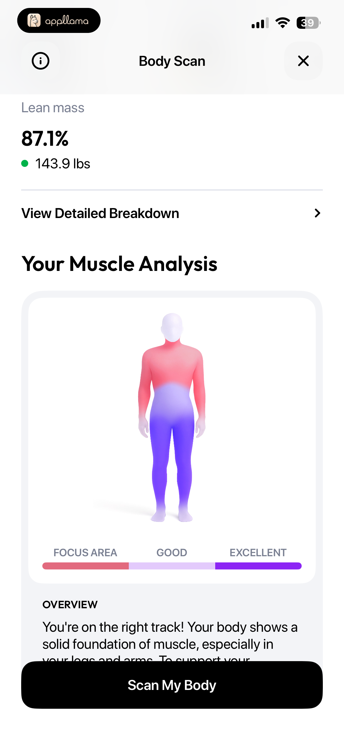 Muscle Analysis Overview