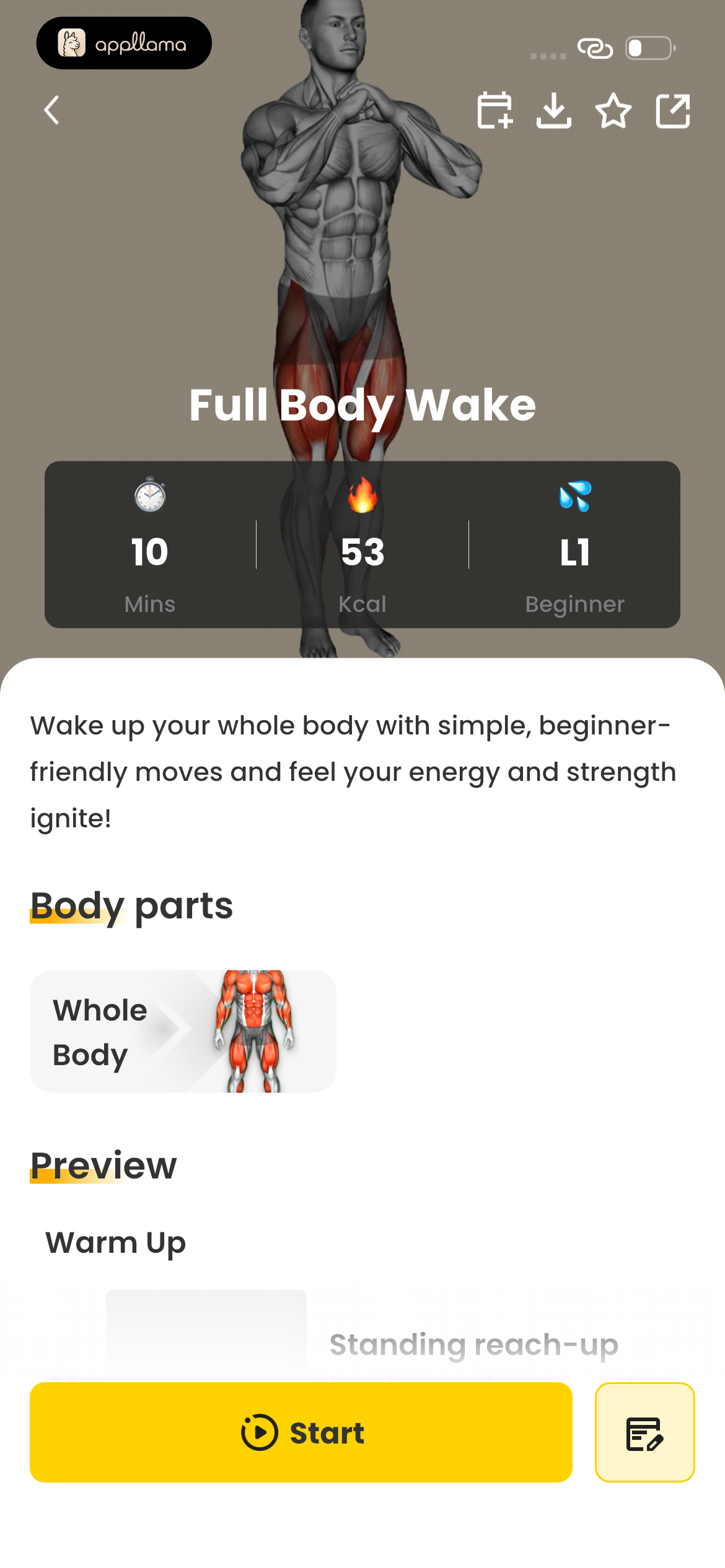 Full Body Wake Detail