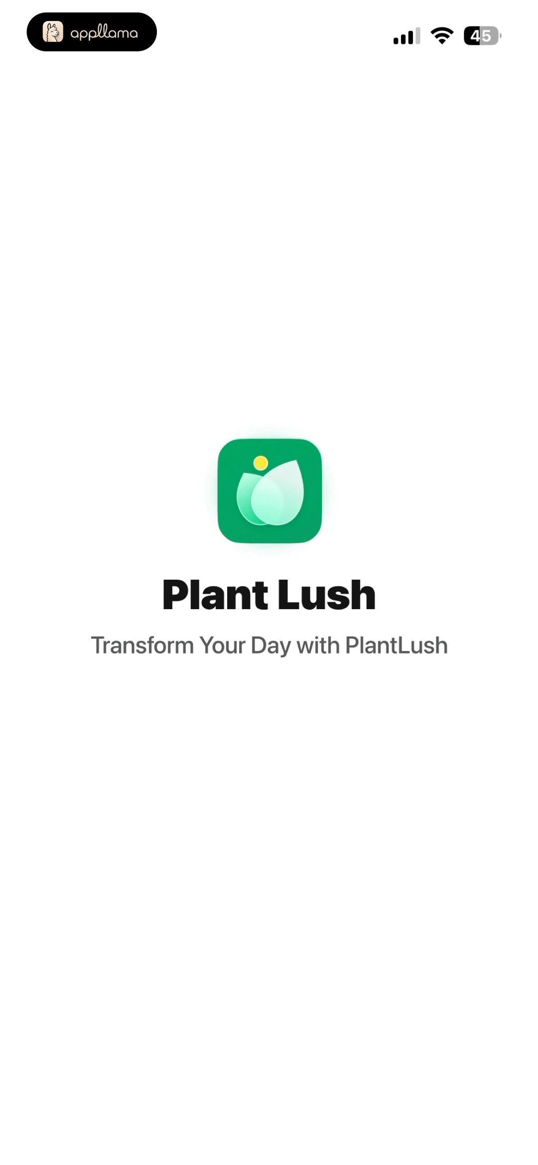 Splash Screen