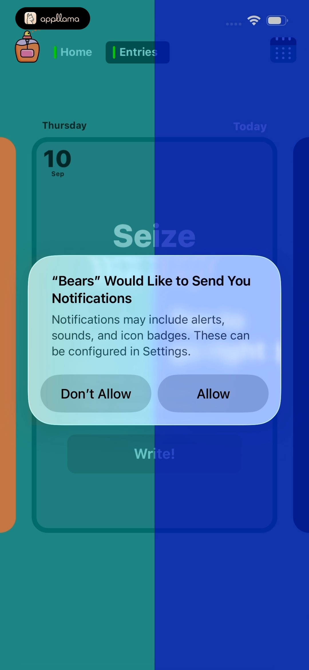 Notification Permission