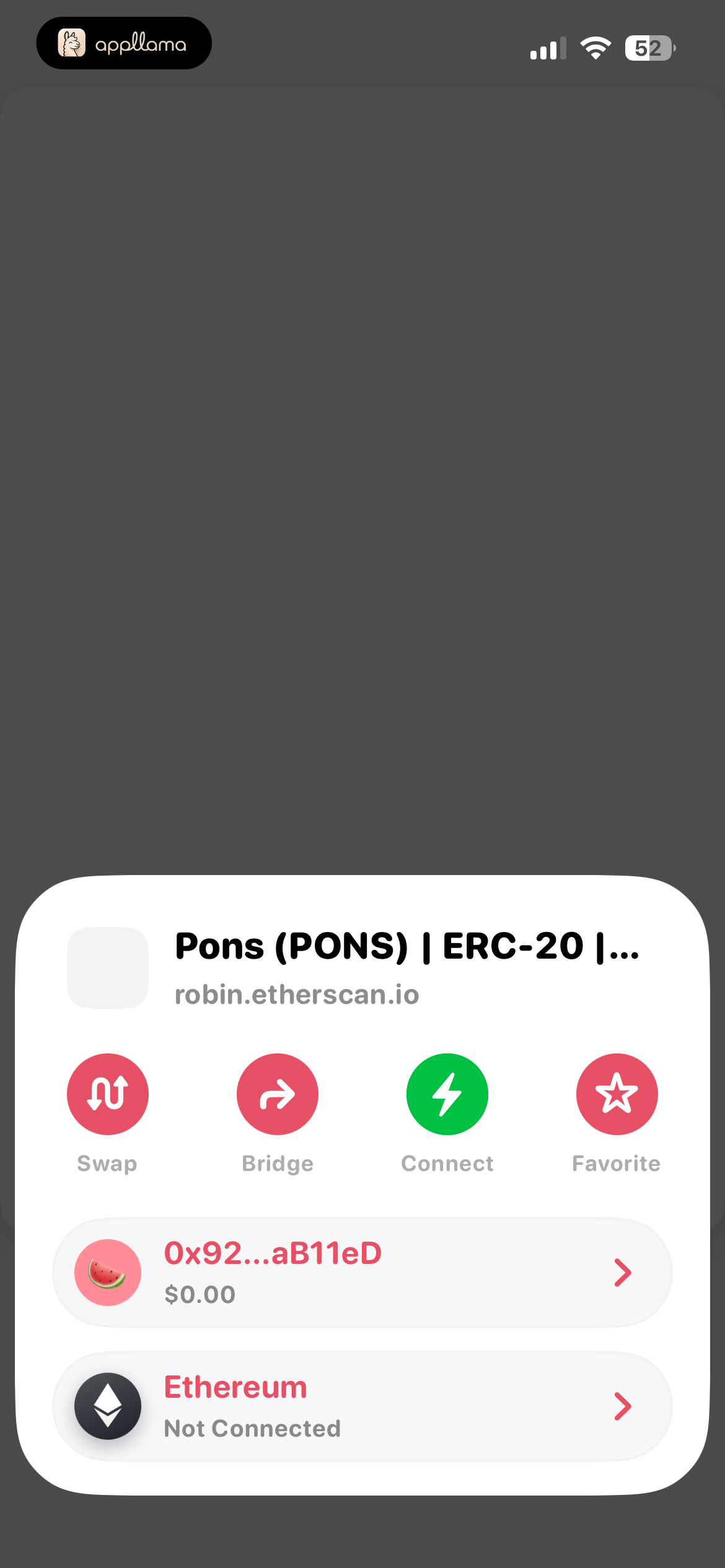Token Details Sheet