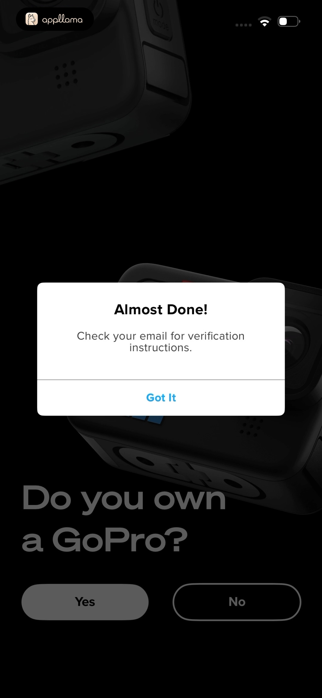 Email Verification Alert