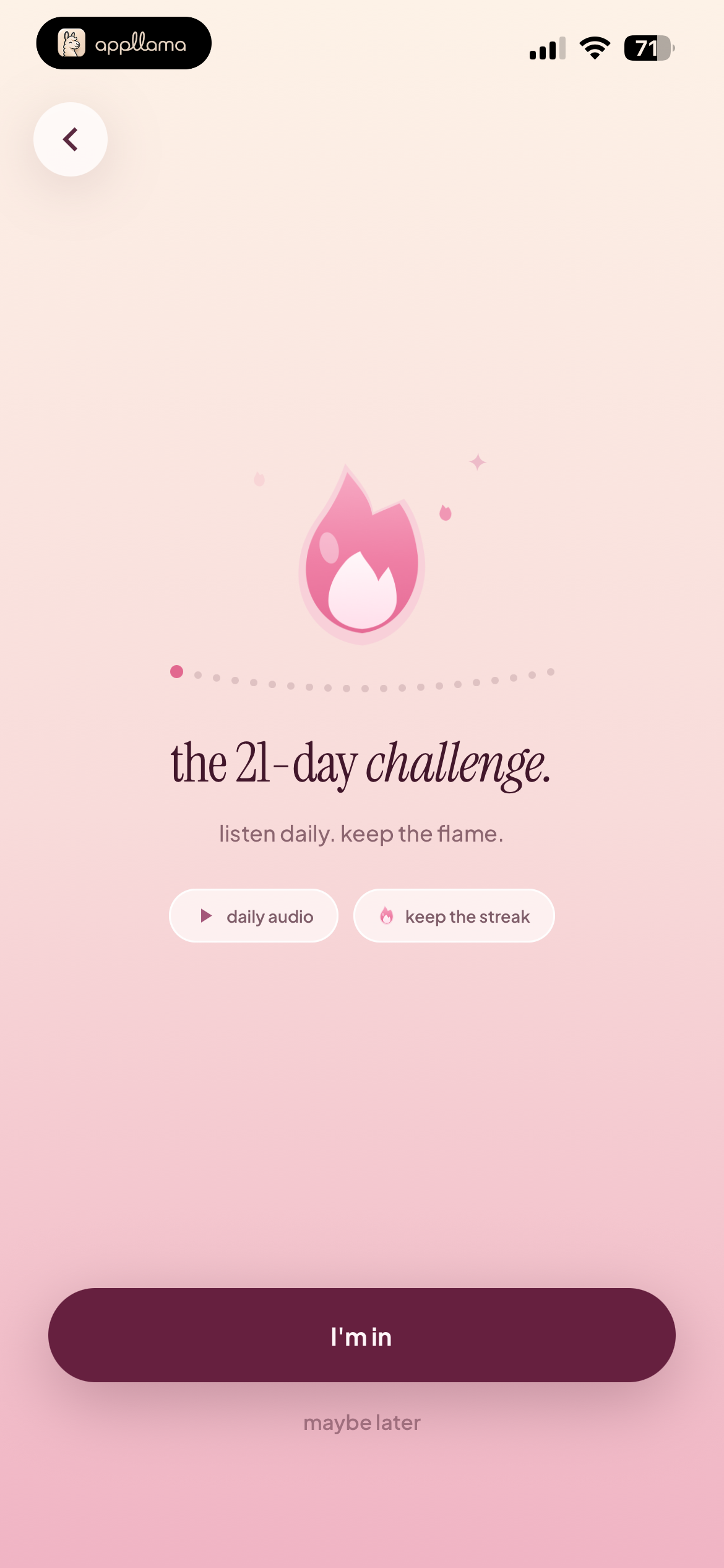 21 Day Challenge Intro