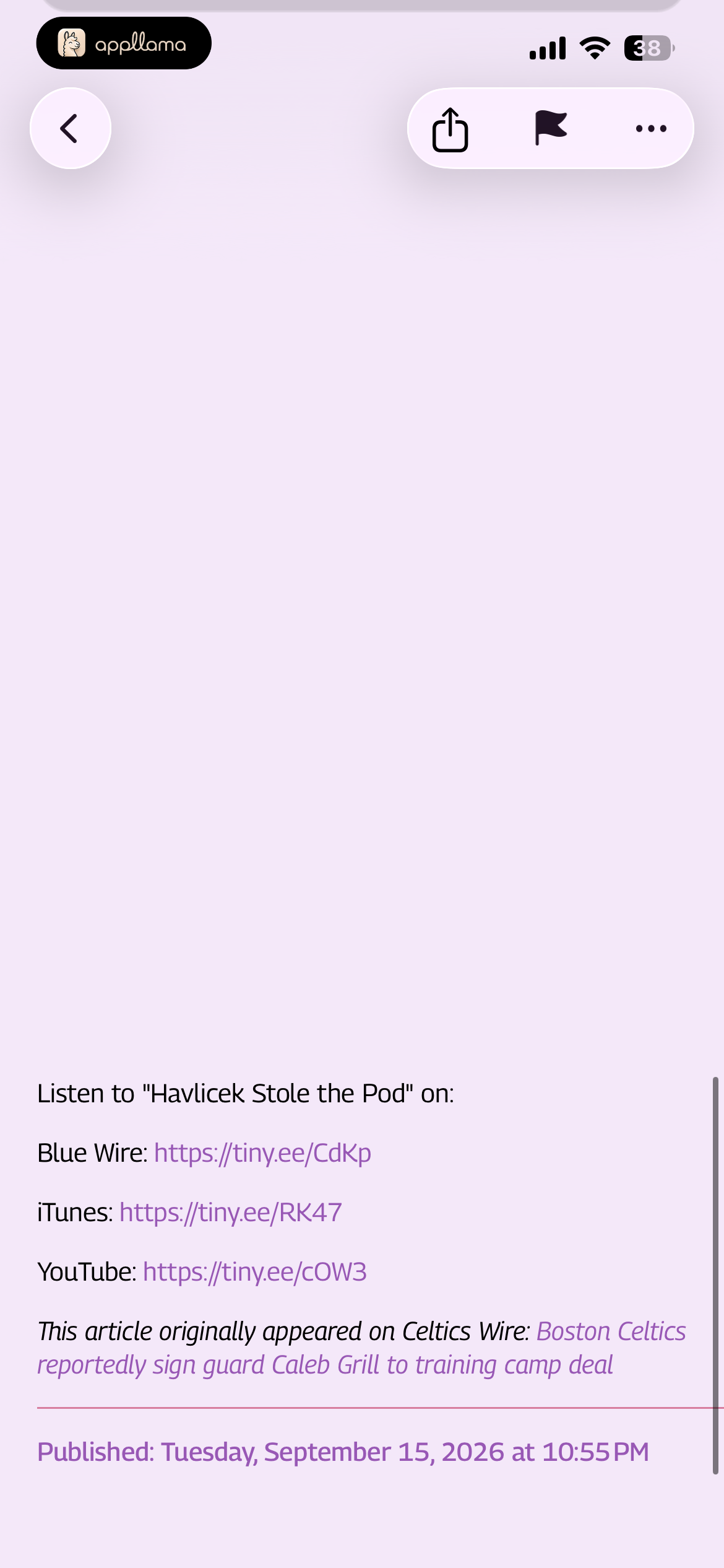 Article Footer