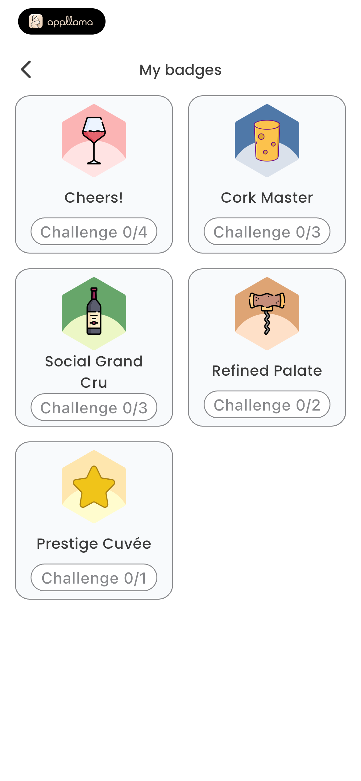 Badge Collection