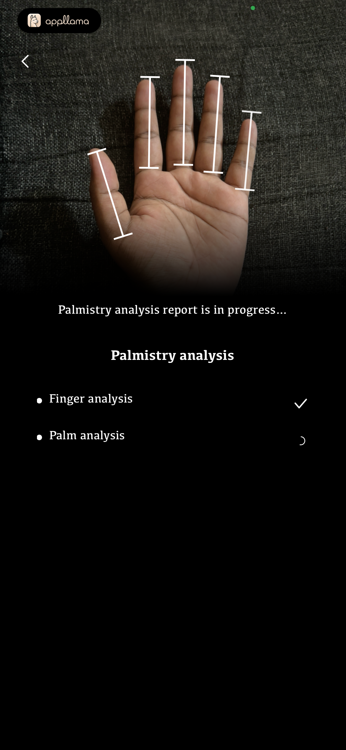 Palm Analysis Loading