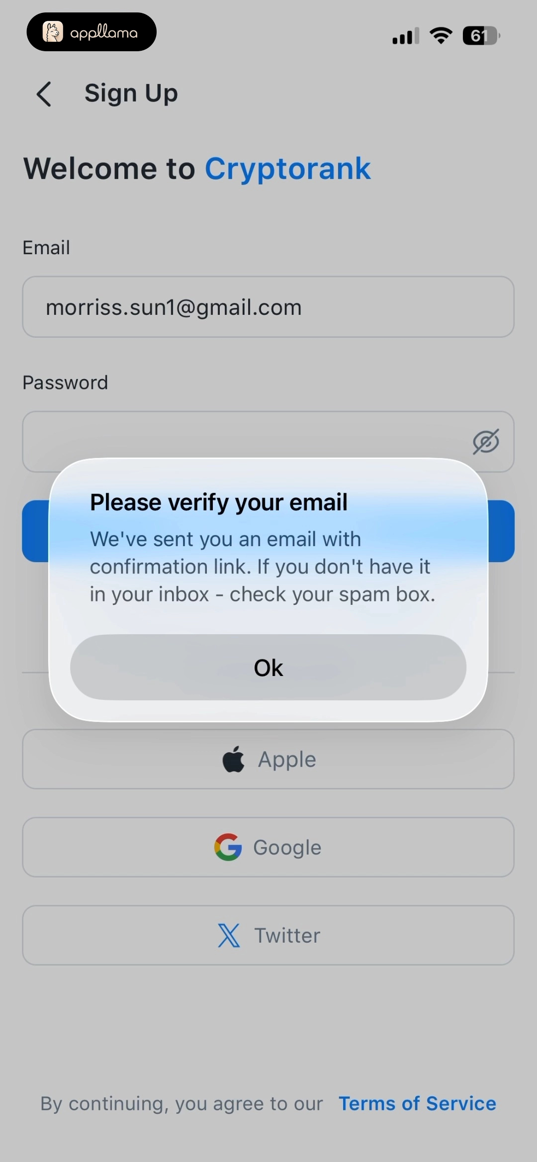 Email Verification Alert