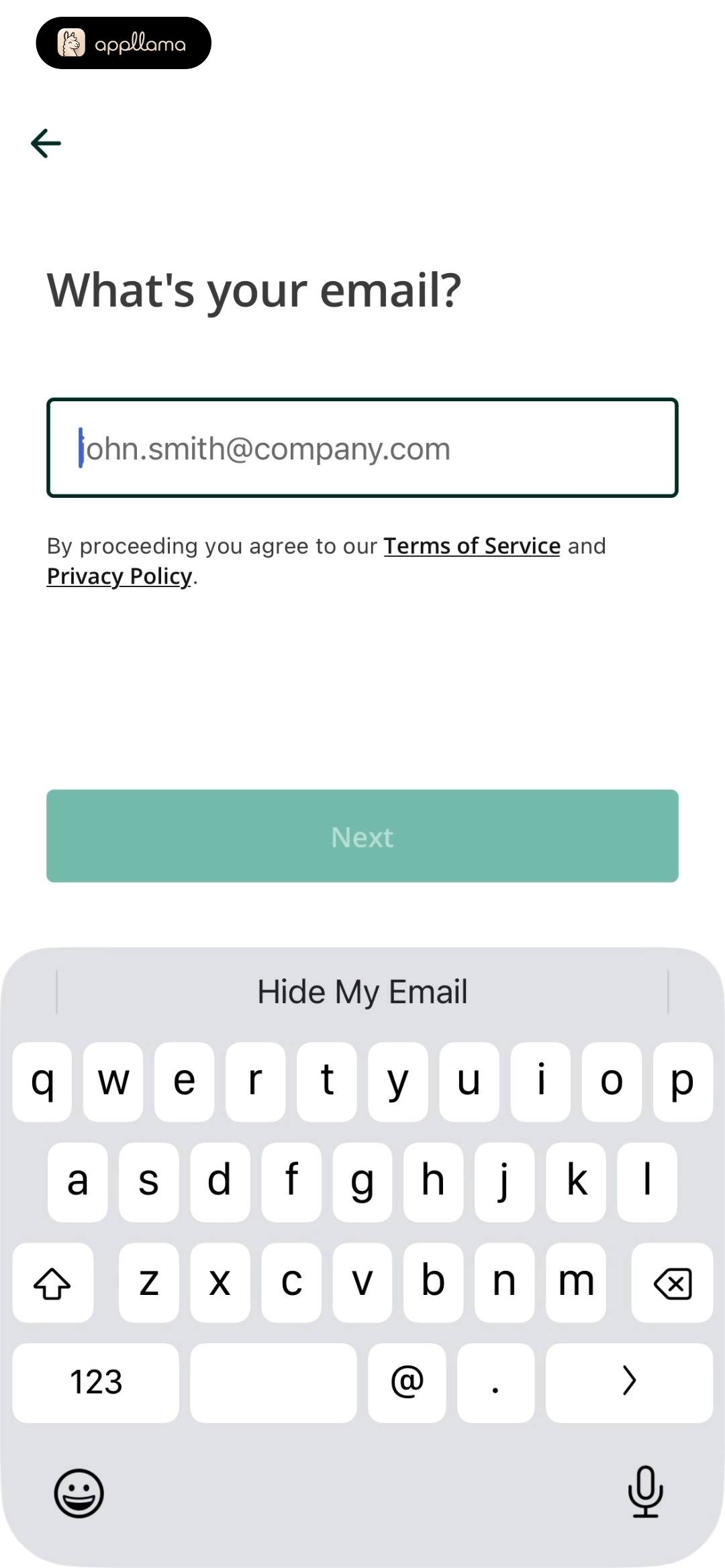Email Entry