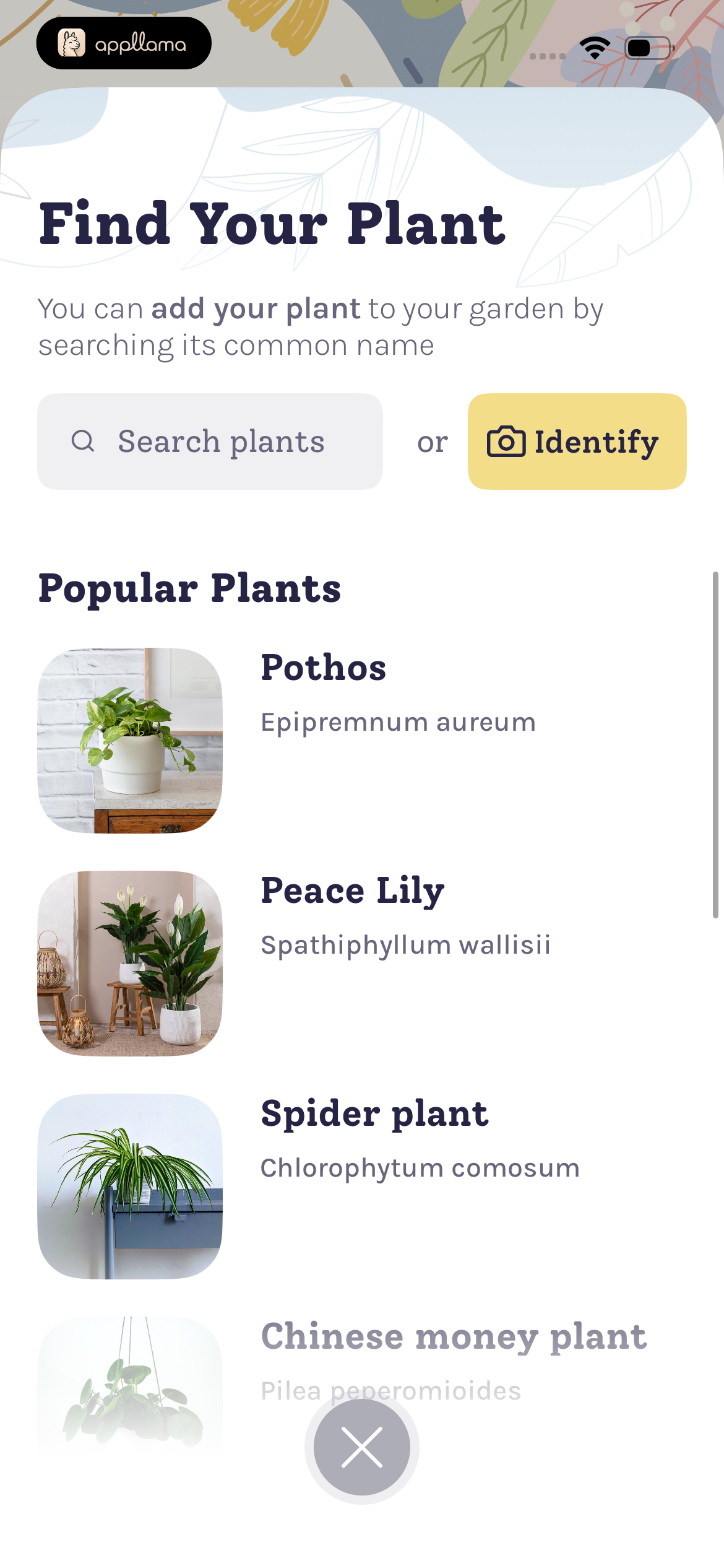 Find Your Plant