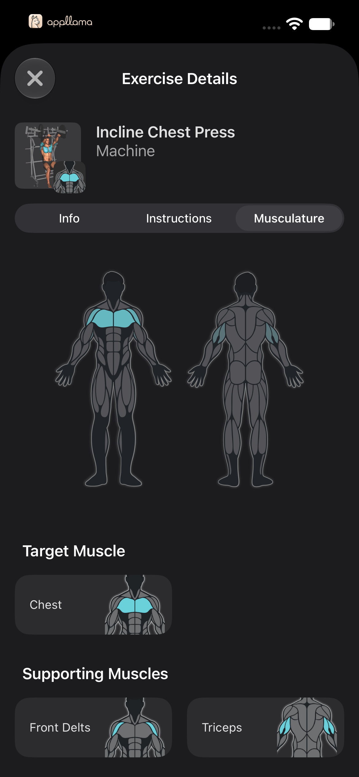 Exercise Muscle Anatomy