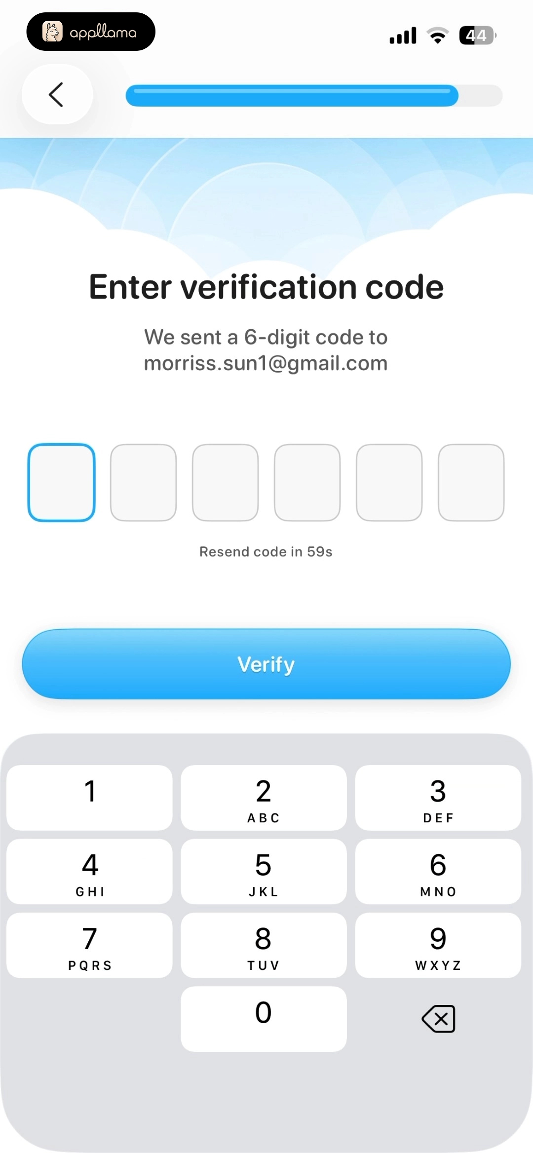 Email OTP Verification